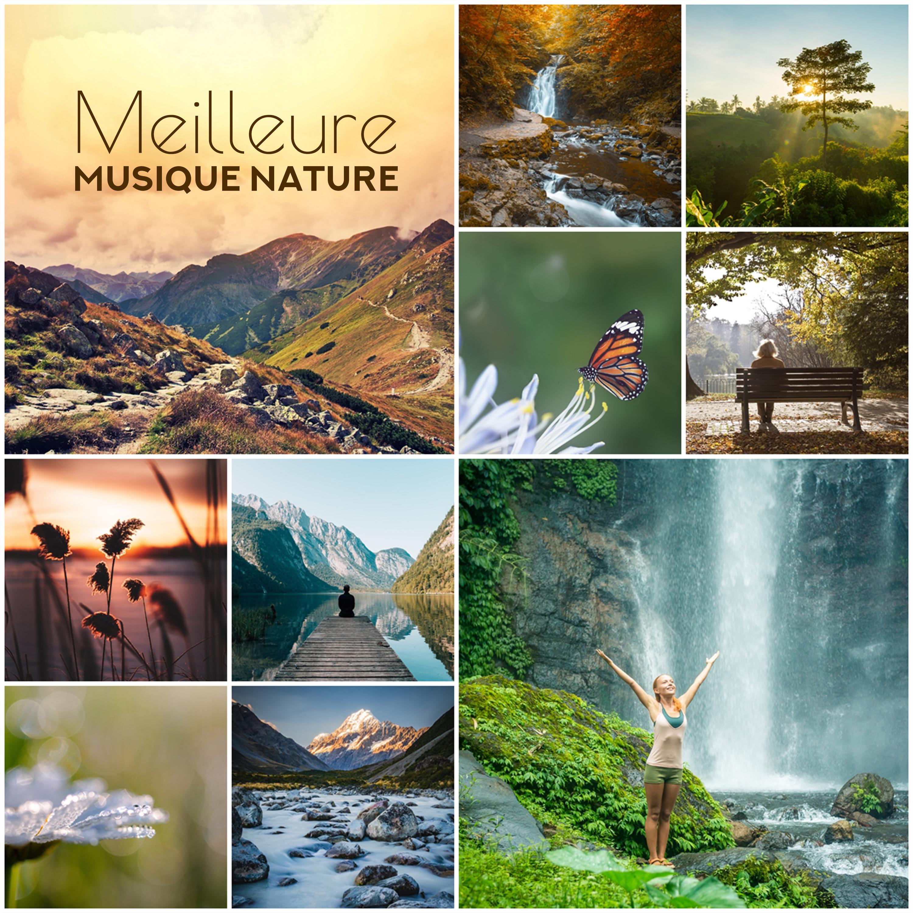 Meilleure musique nature Sons relaxants pour la me ditation, Le sommeil et le spa