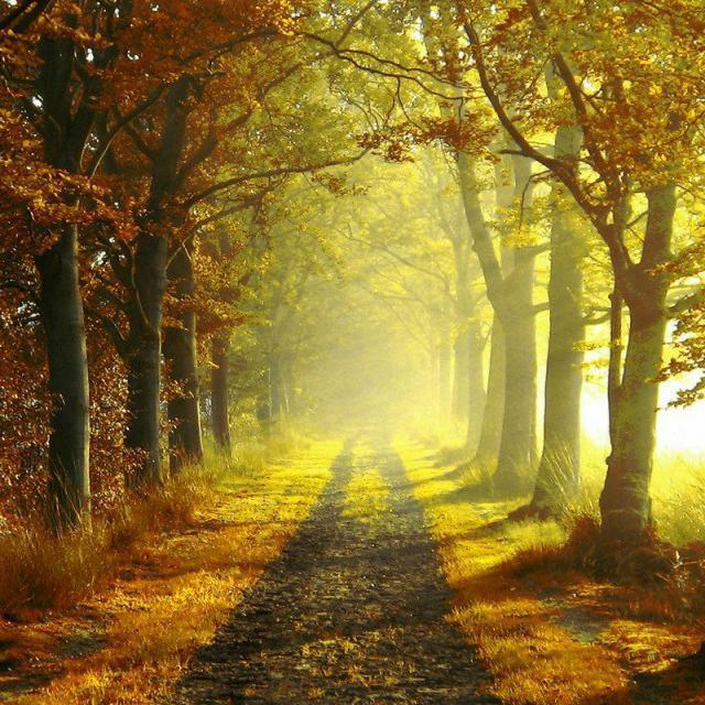 Here Now, With Smiles. dai chang ban