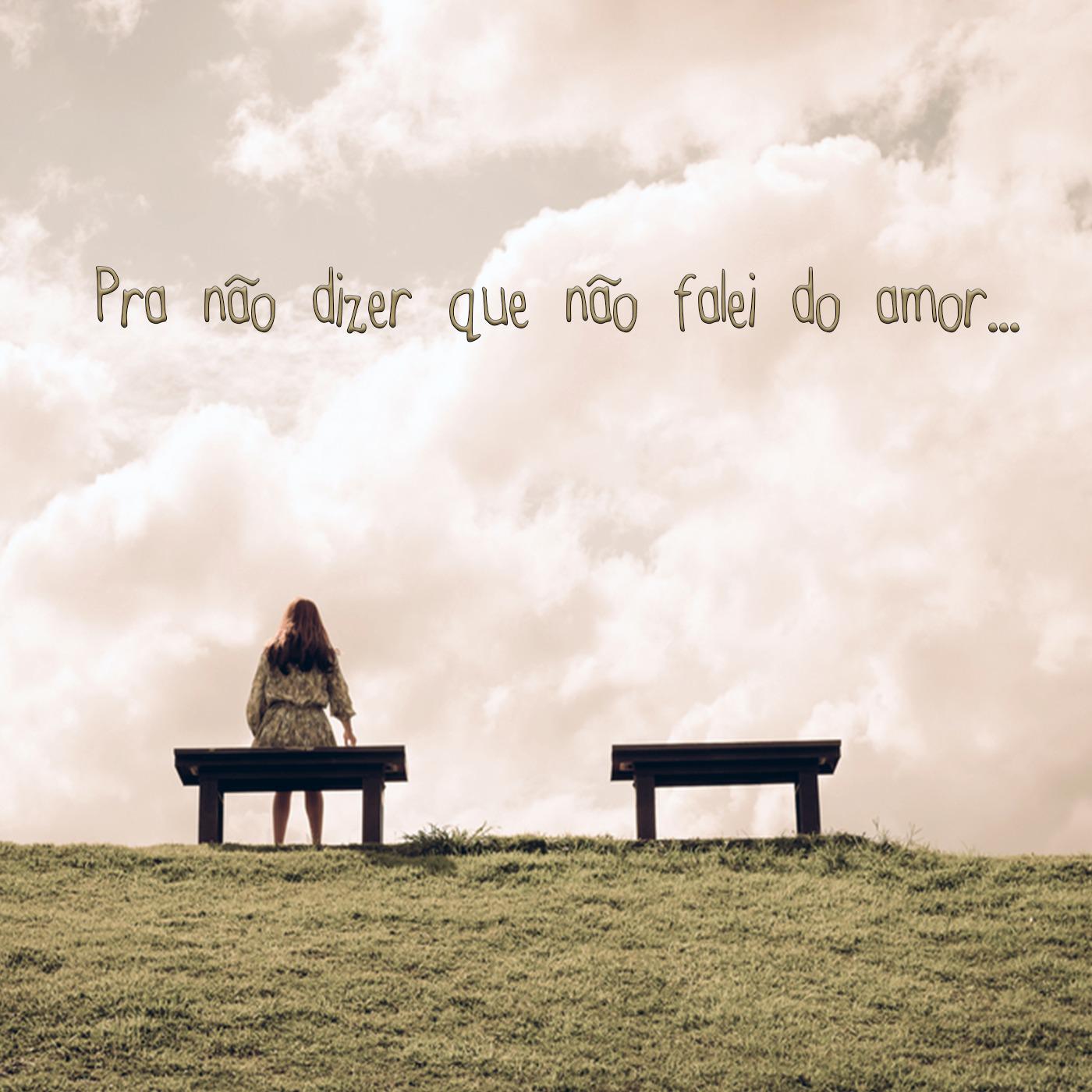 Pra N o Dizer Que N o Falei do Amor