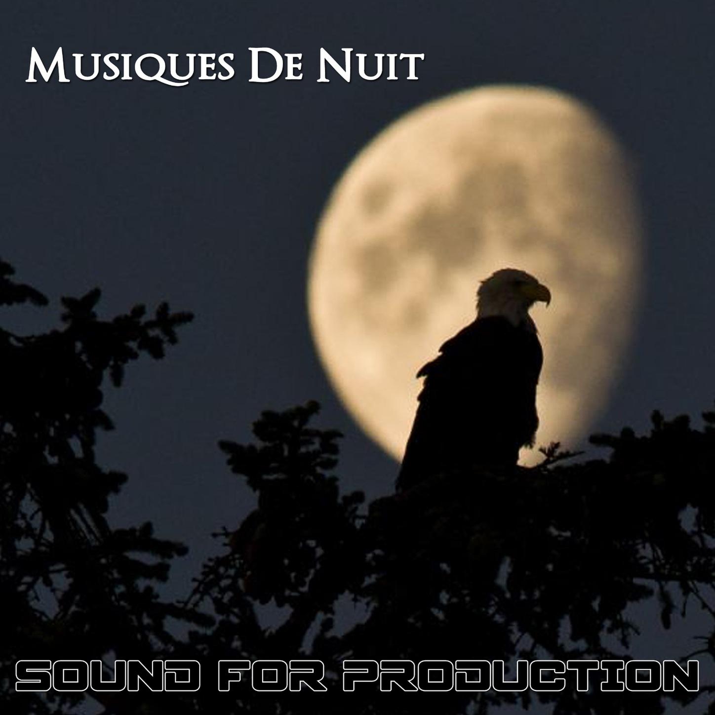 Sound For Production Musiques De Nuit