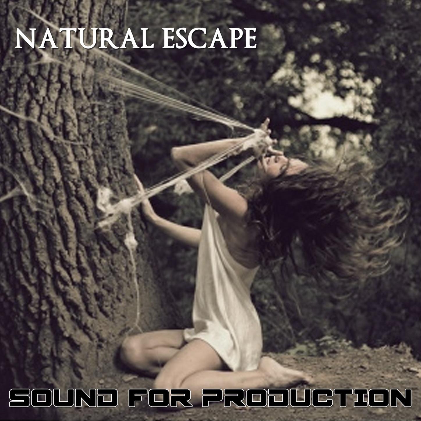 Sound For Production Natural Escape
