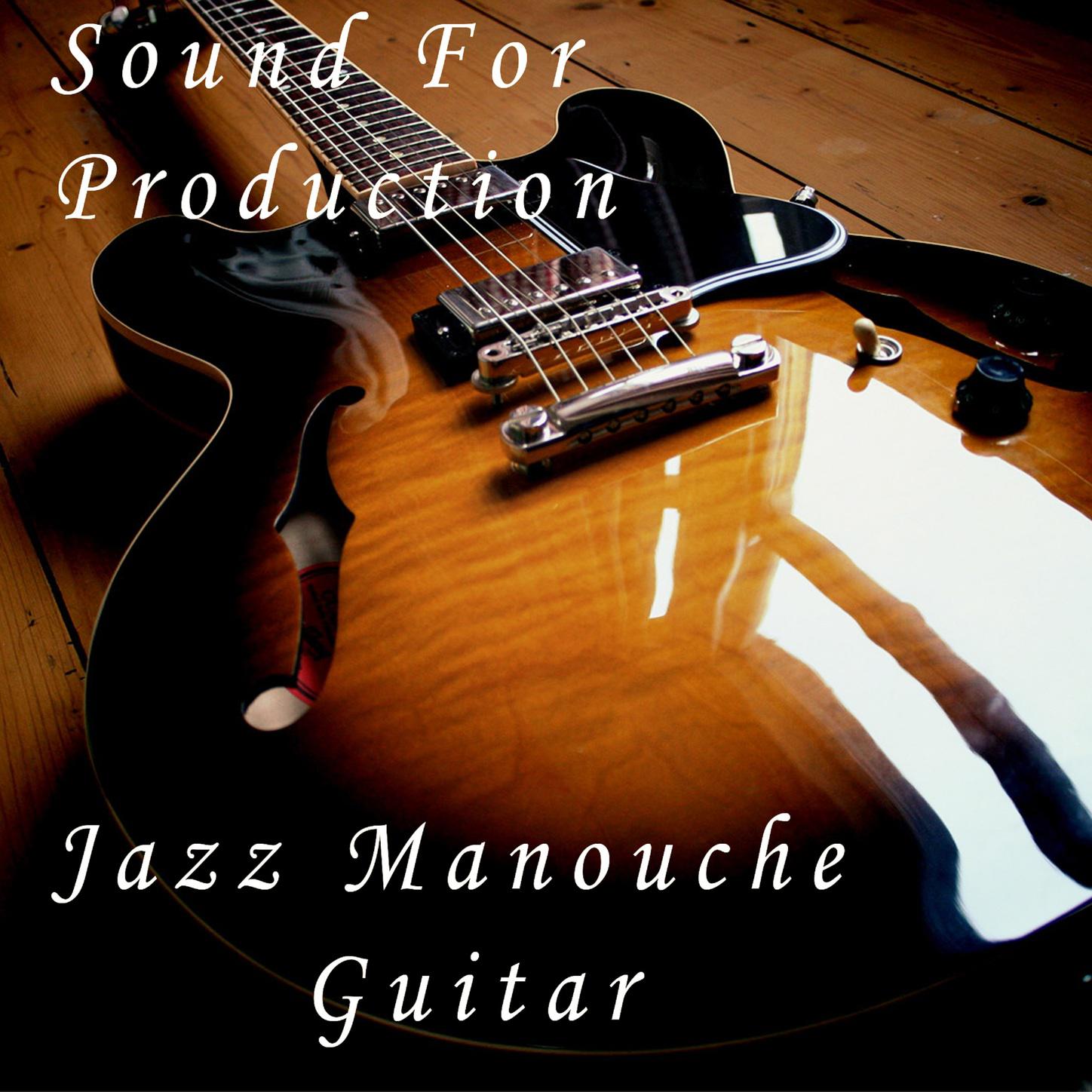 Sound For Production Jazz Manouche Guitar