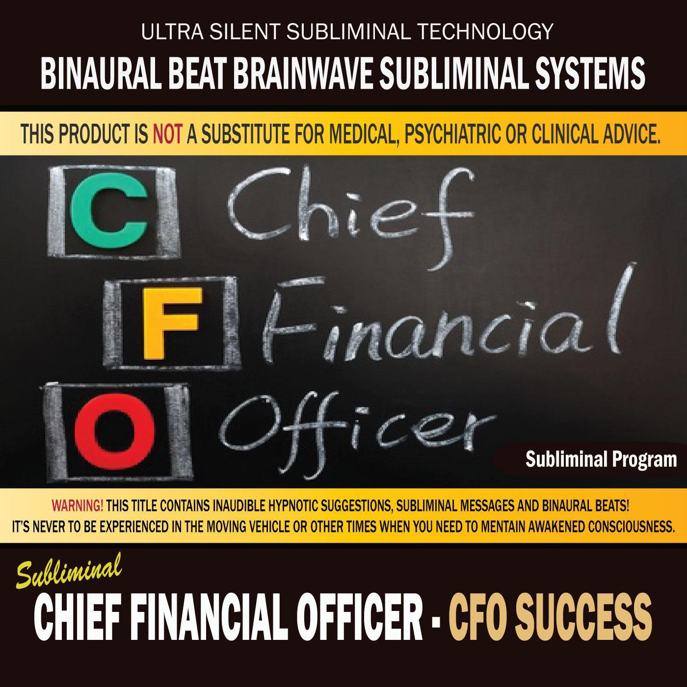 Chief Financial Officer: Cfo Success