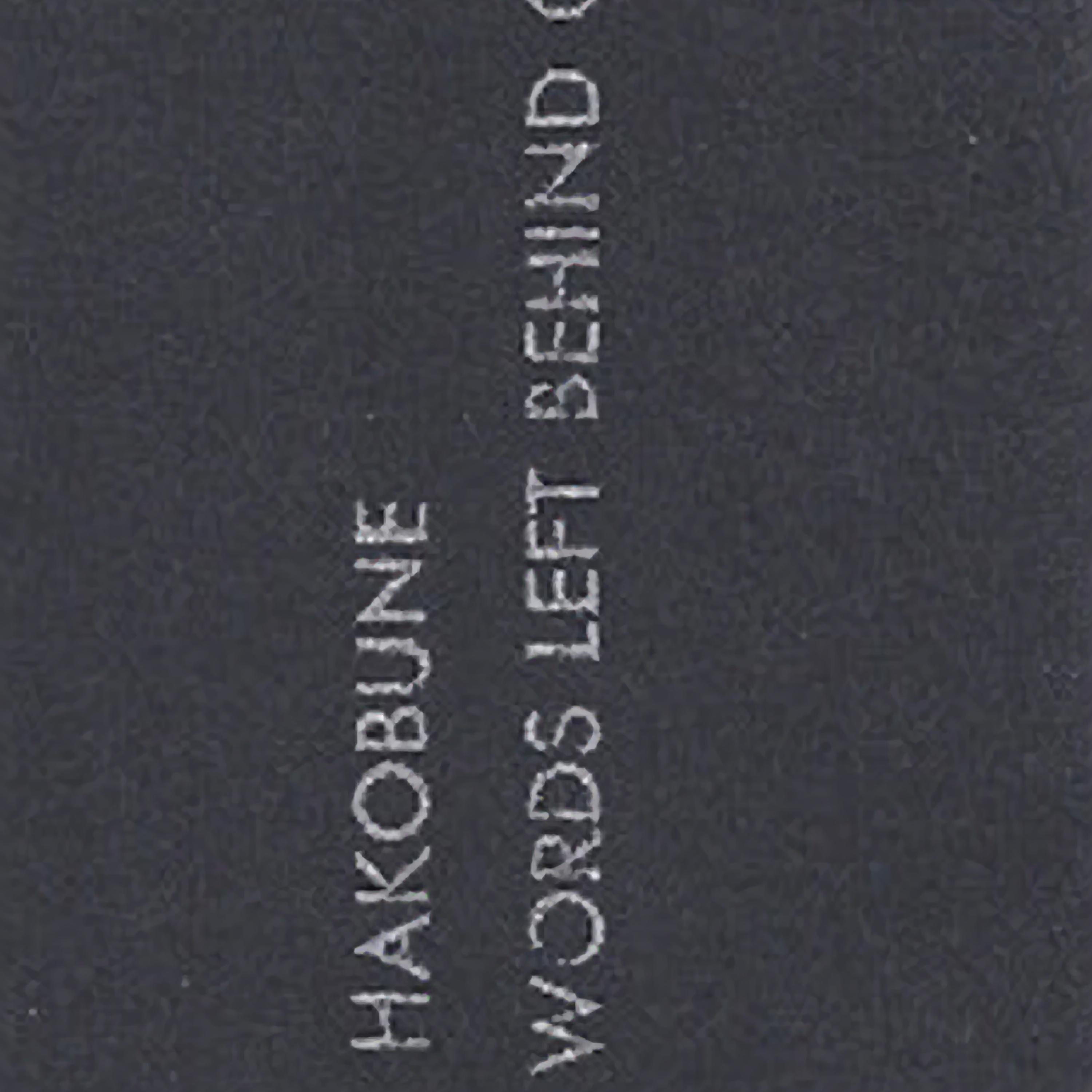 Words Left Behind on Ashes