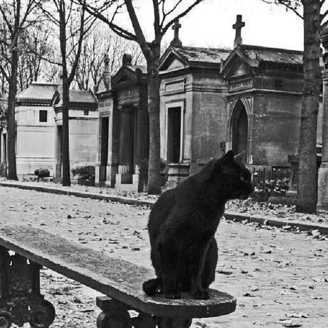 sheng er wei ren, wo hen bao qian