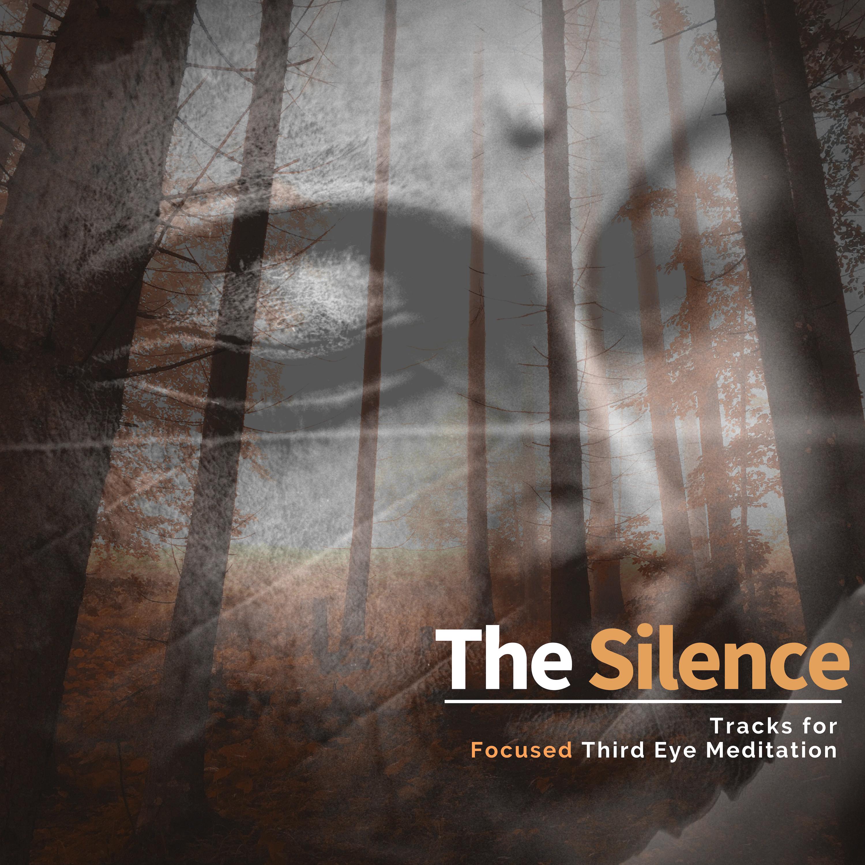 The Silence - Tracks For Focused Third Eye Meditation