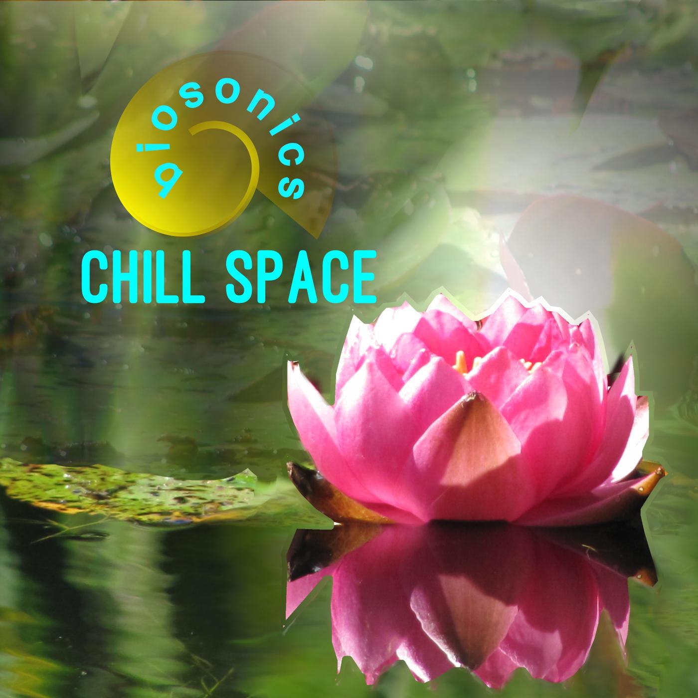 Feeding Ducks with Fernando