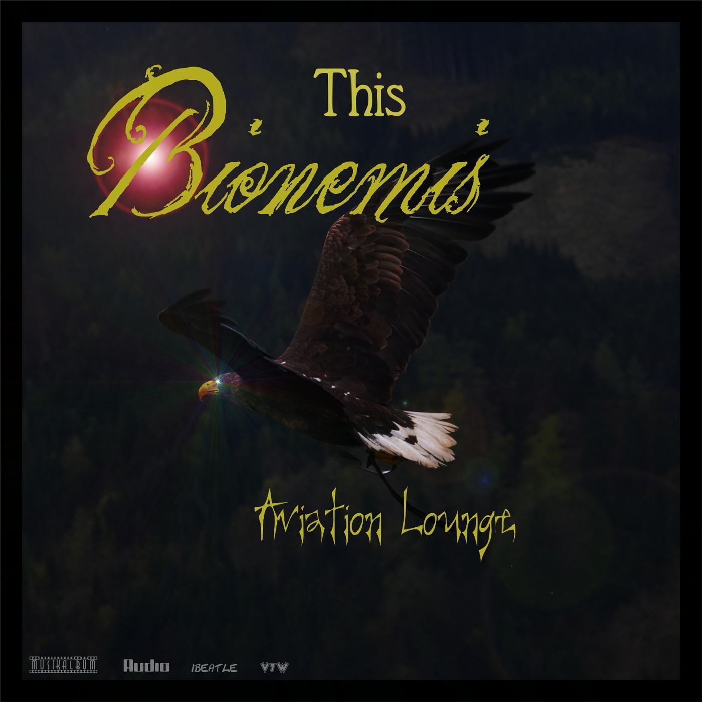 Flying with the Jet Stream