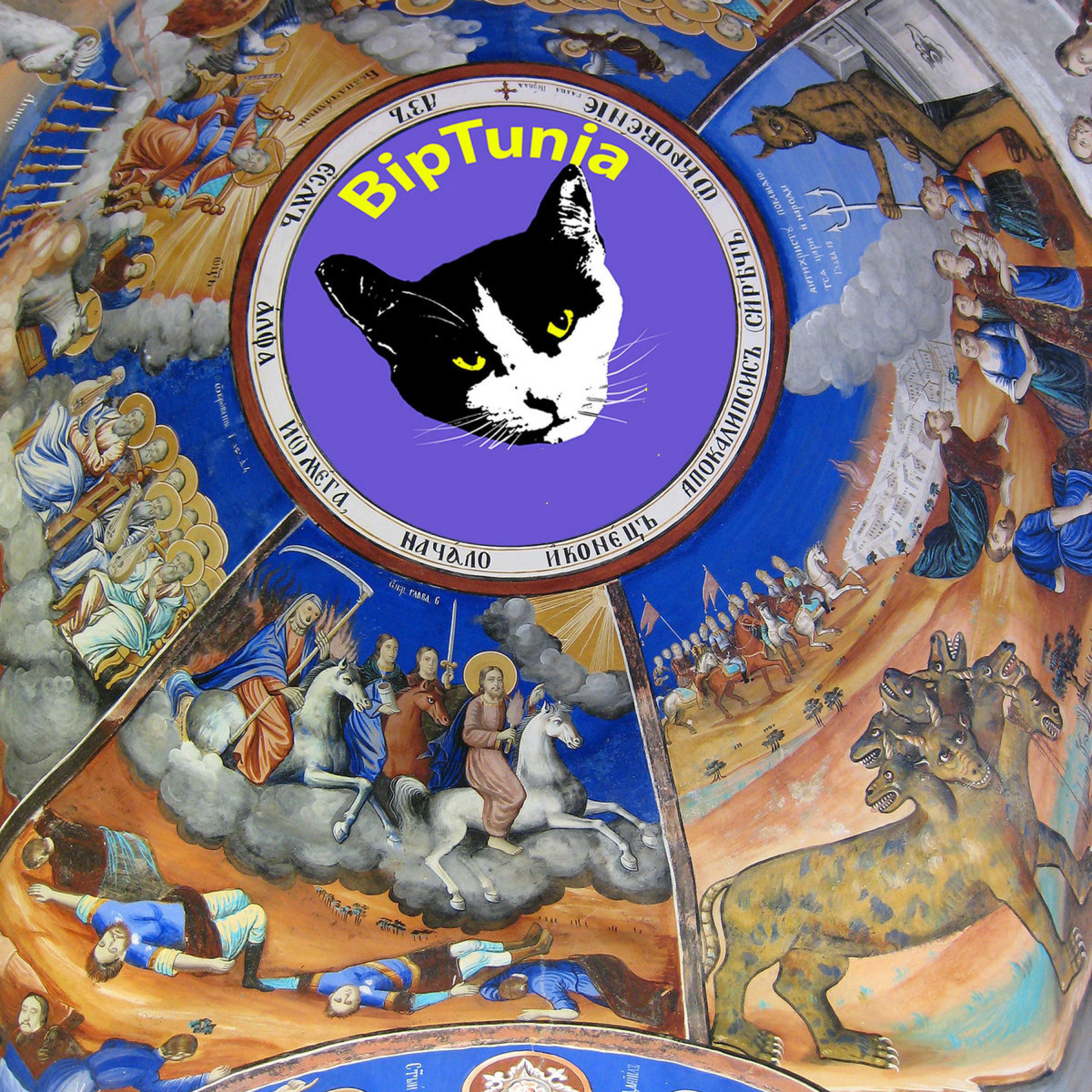 The Radio Fired Bullets