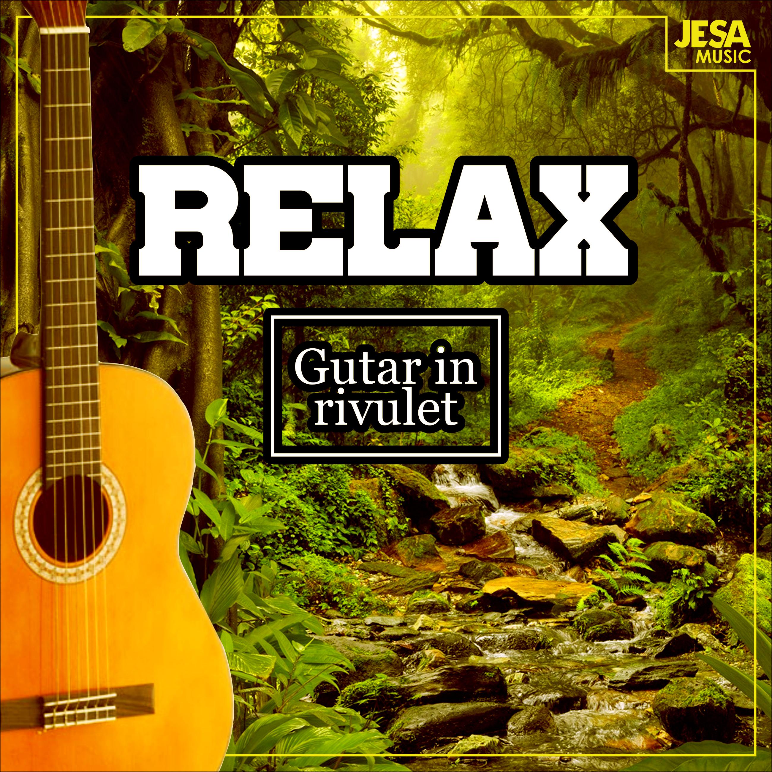 Relax Guitar In Rivulet