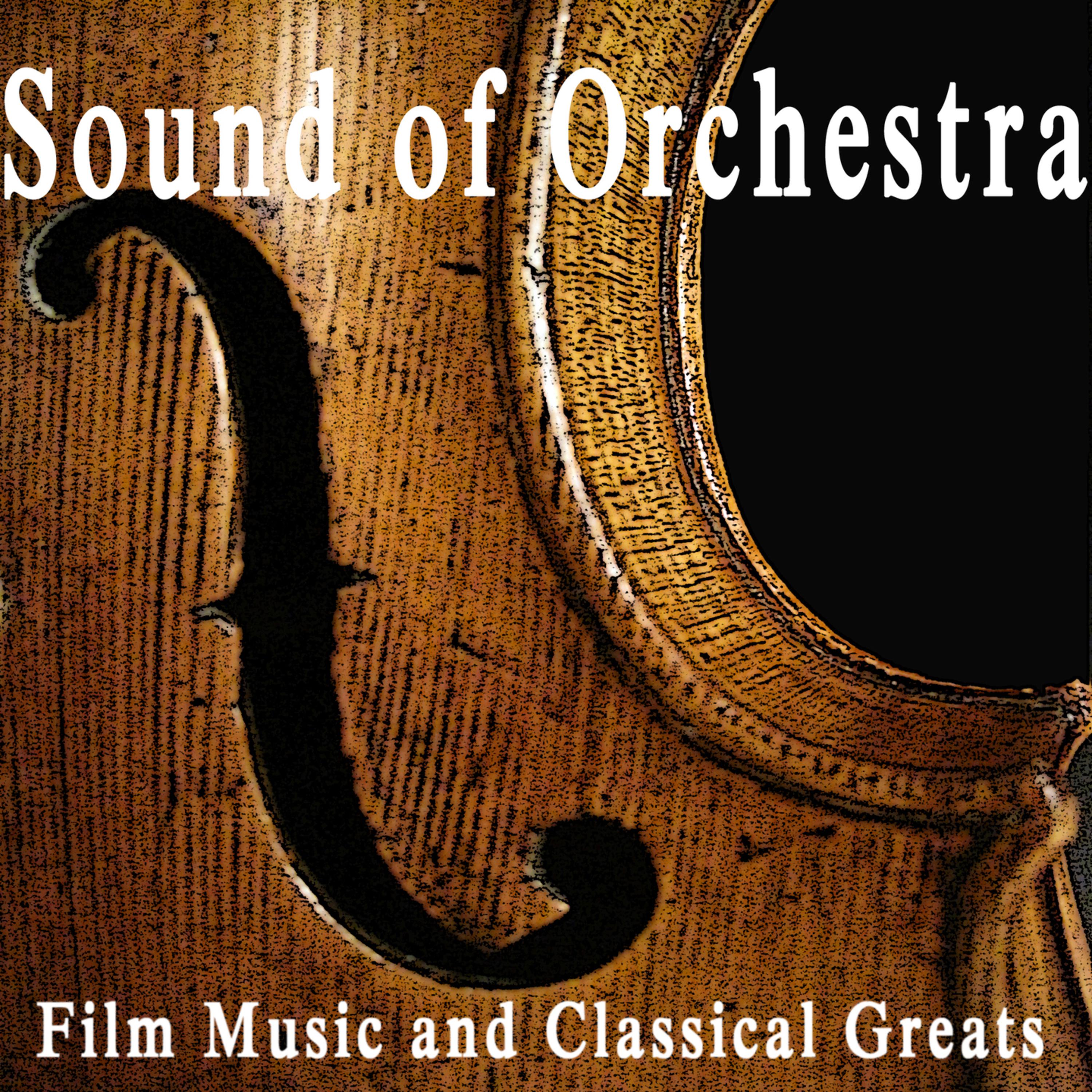 Sound Of The Orchestra