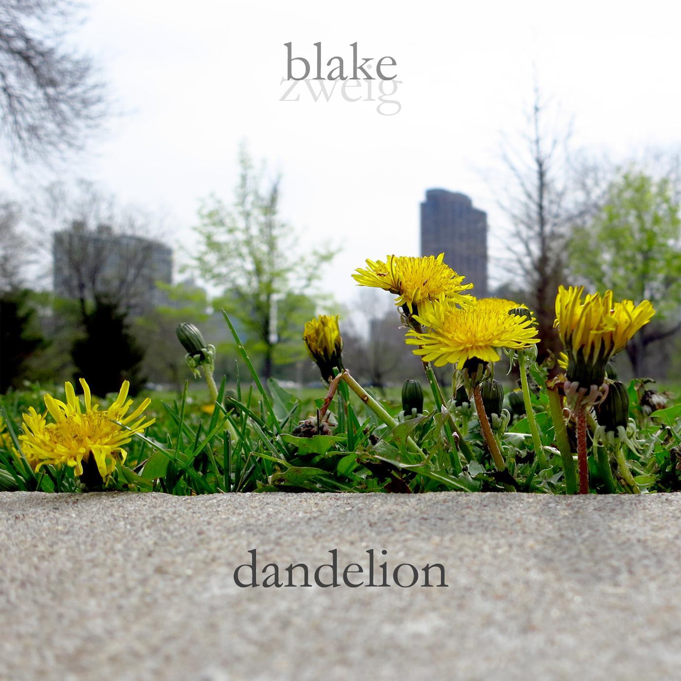 Dandelion