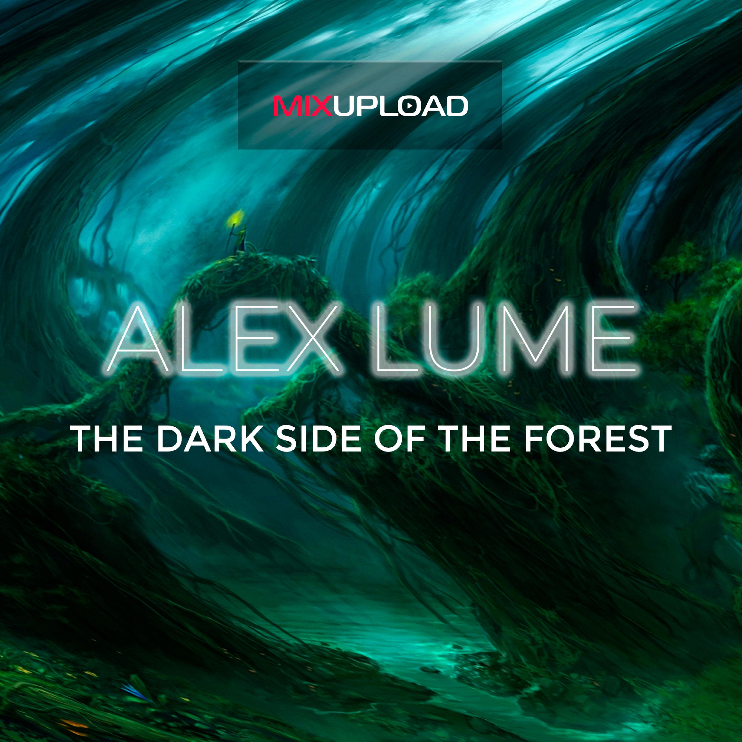 The dark side of the forest