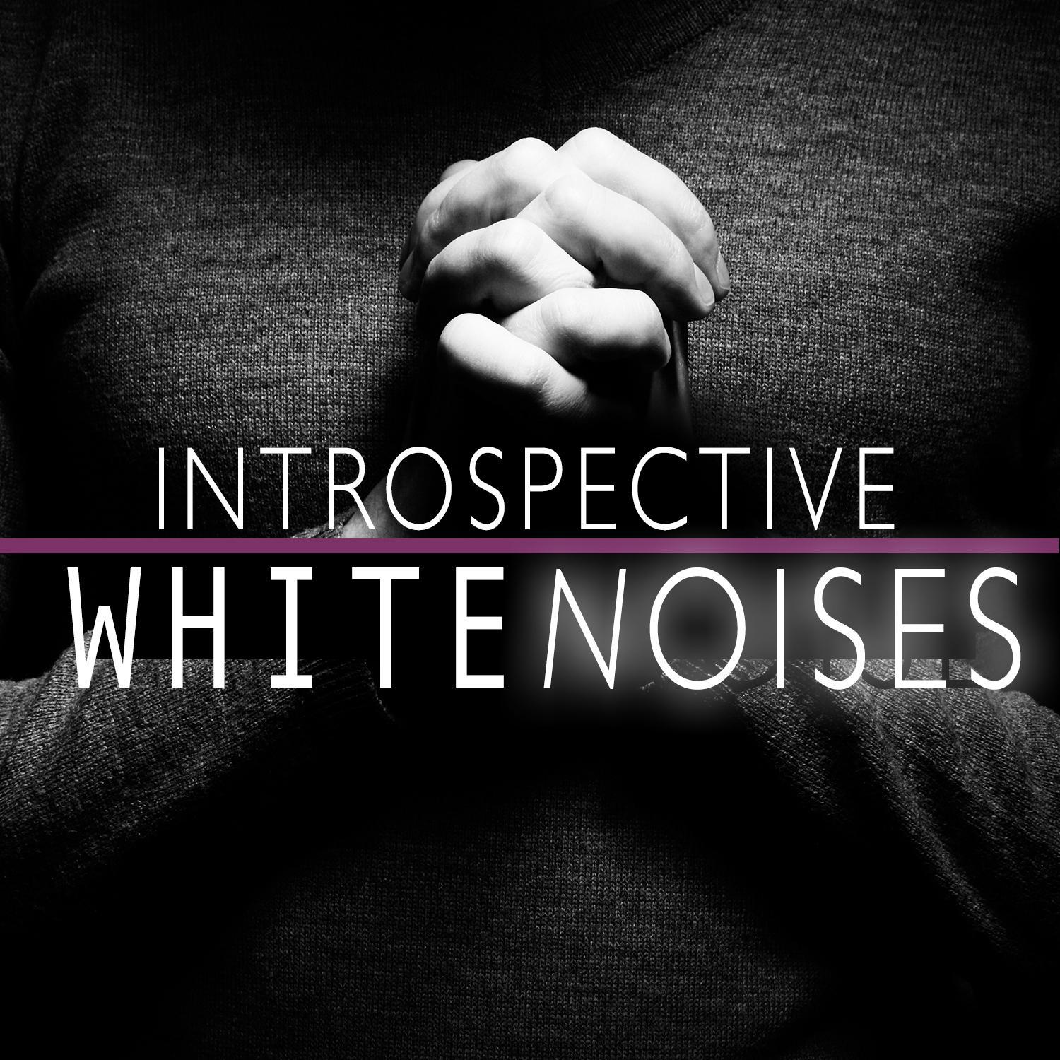 Introspective White Noises