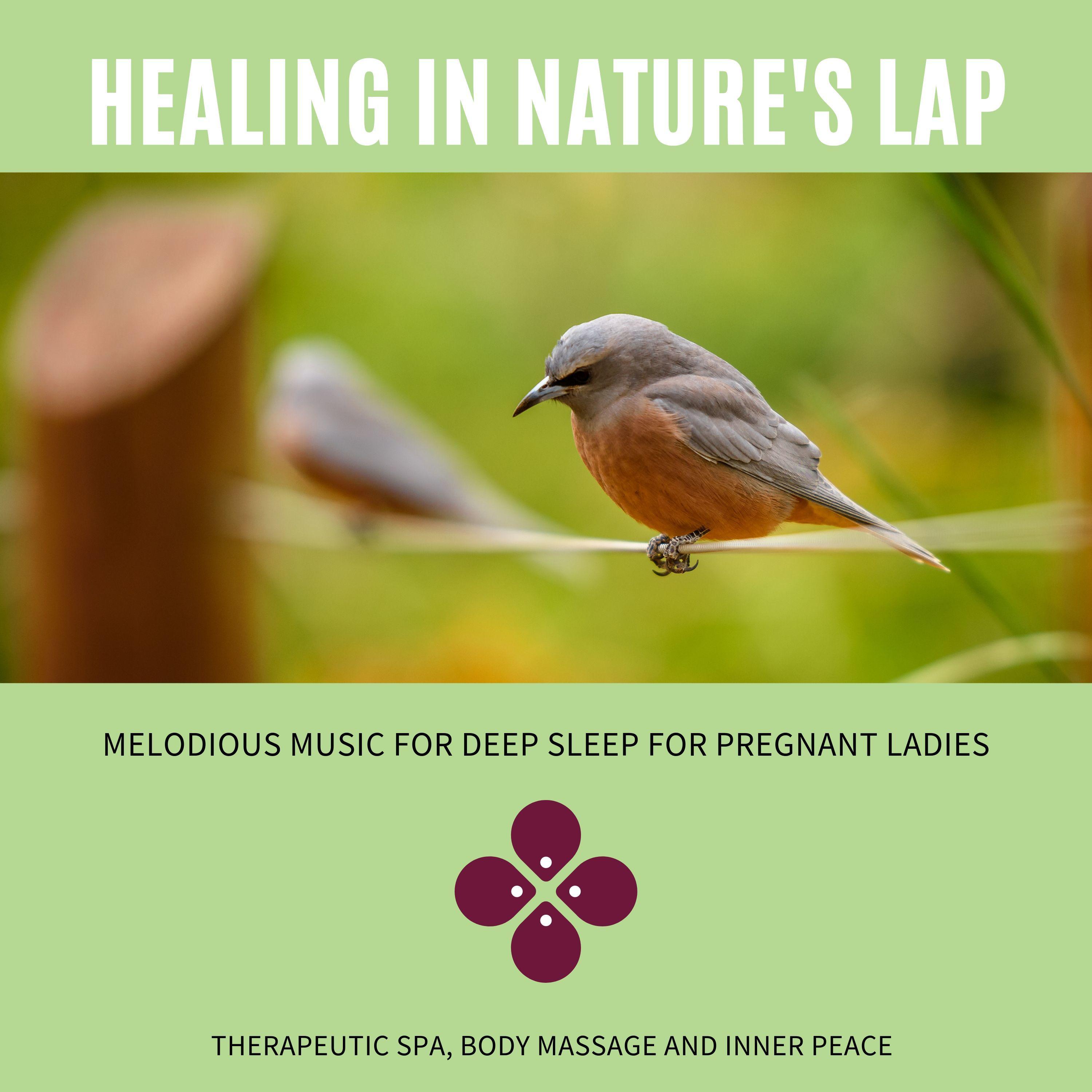 Healing In Nature's Lap (Melodious Music For Deep Sleep For Pregnant Ladies, Therapeutic Spa, Body Massage And Inner Peace)
