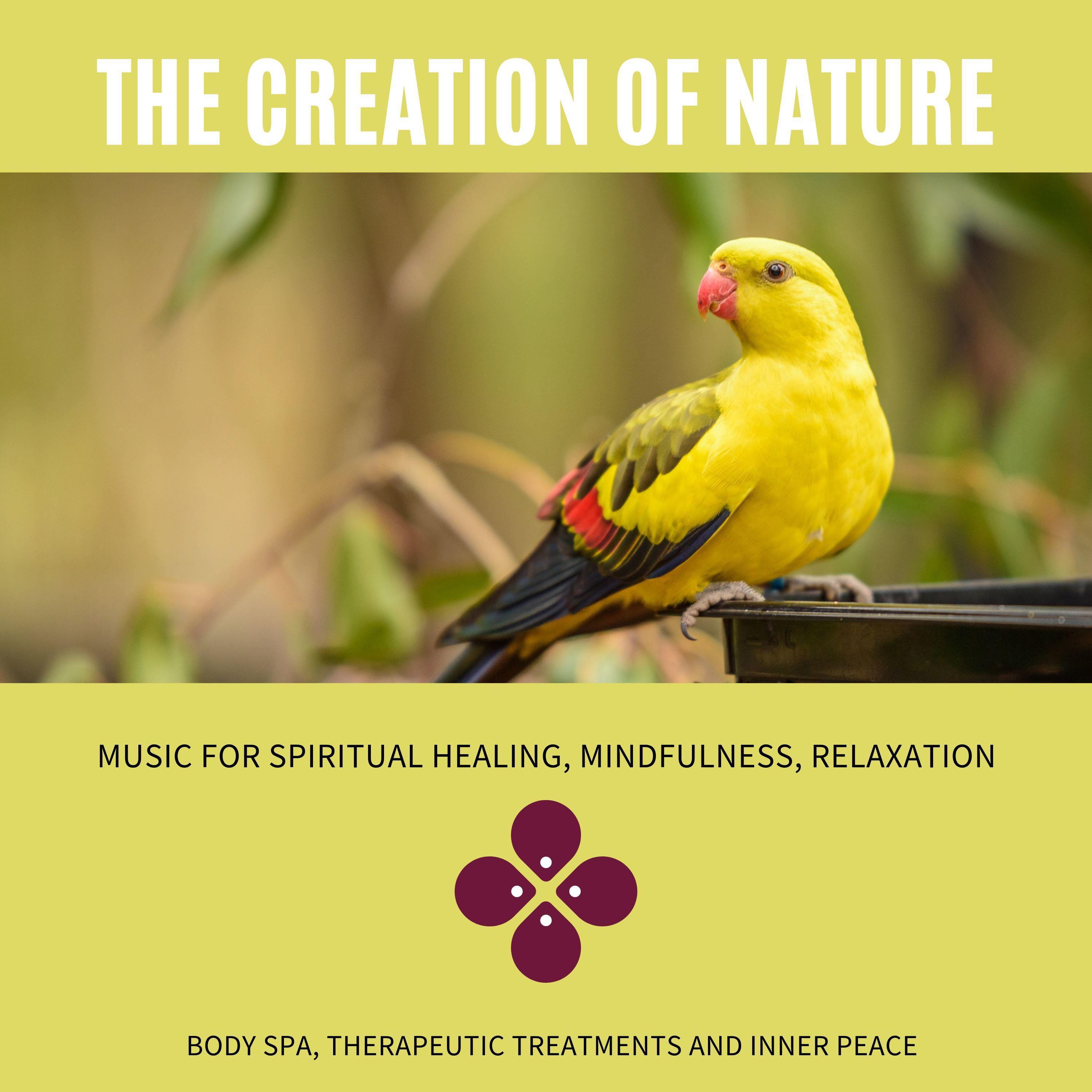 The Creation Of Nature (Music For Spiritual Healing, Mindfulness, Relaxation, Body Spa, Therapeutic Treatments And Inner Peace)