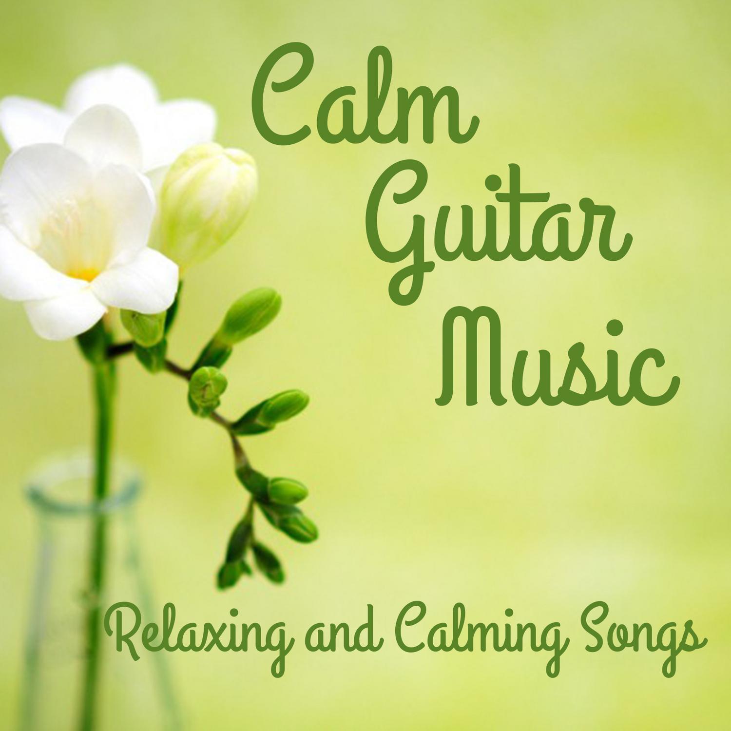 Calm Guitar Music: Relaxing and Calming Songs