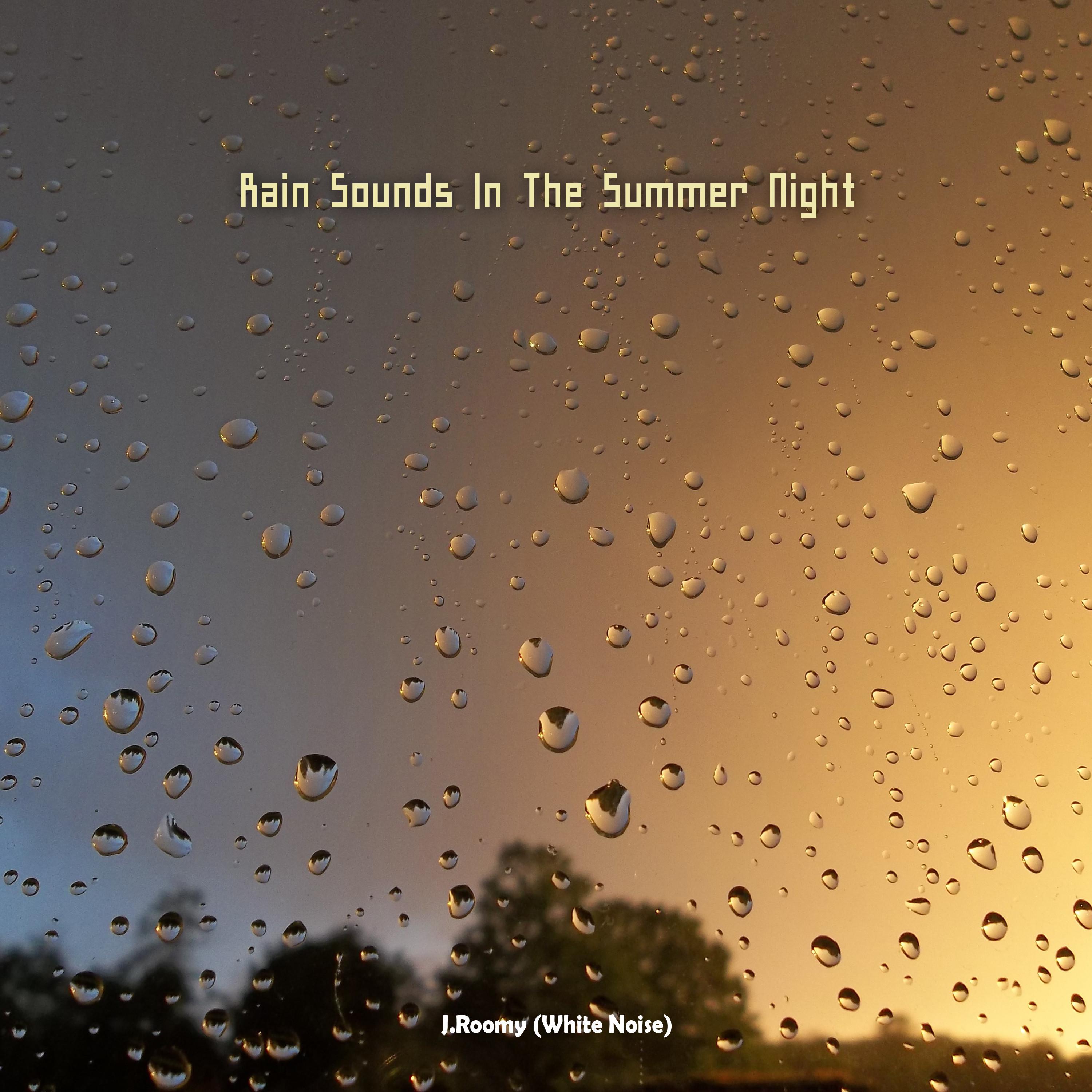 Rain Sounds In The Summer Night