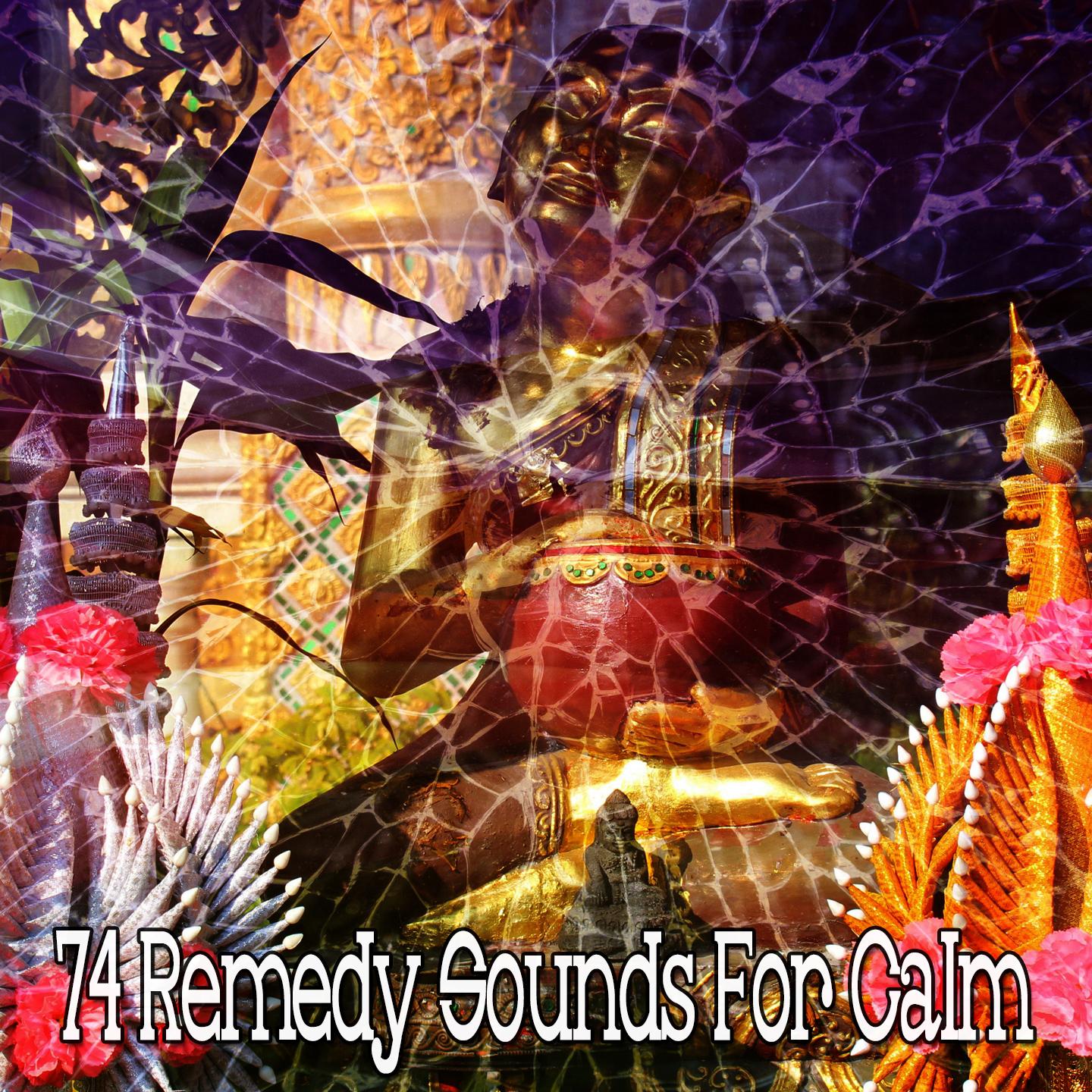 74 Remedy Sounds for Calm