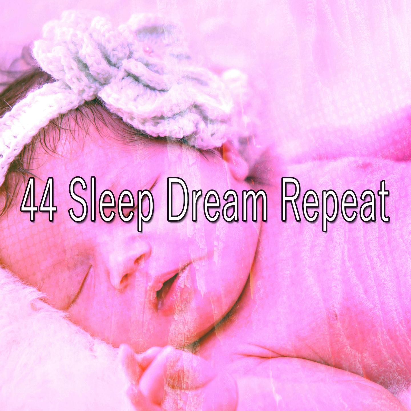 44 Sleep Dream Repeat
