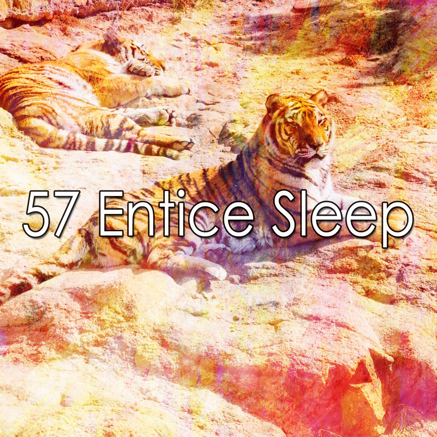 57 Entice Sleep