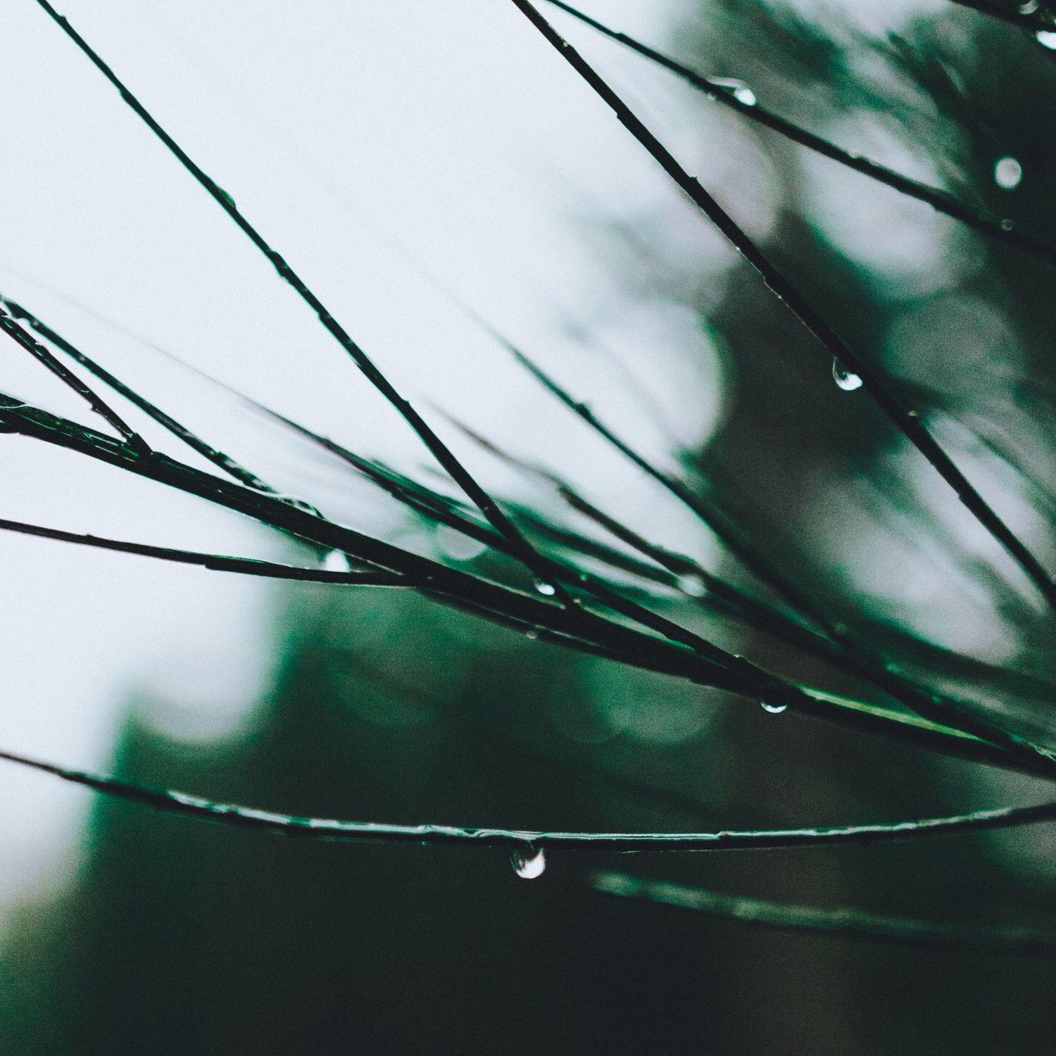 Water in bottle ASMR Sound