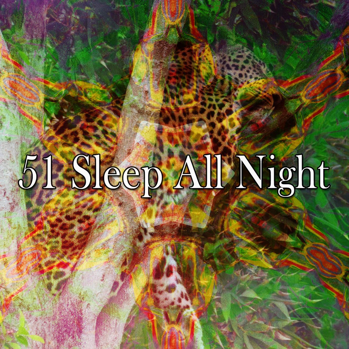 51 Sleep All Night