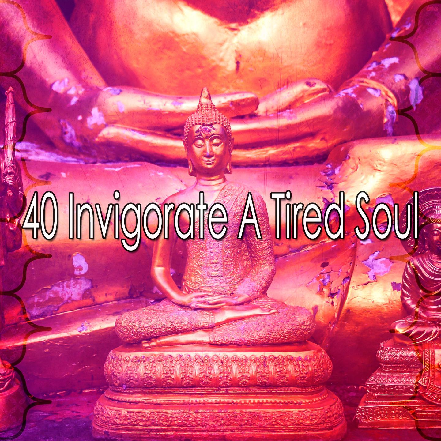 40 Invigorate a Tired Soul