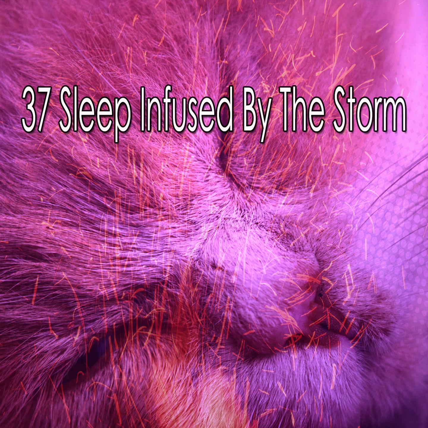 37 Sleep Infused by the Storm