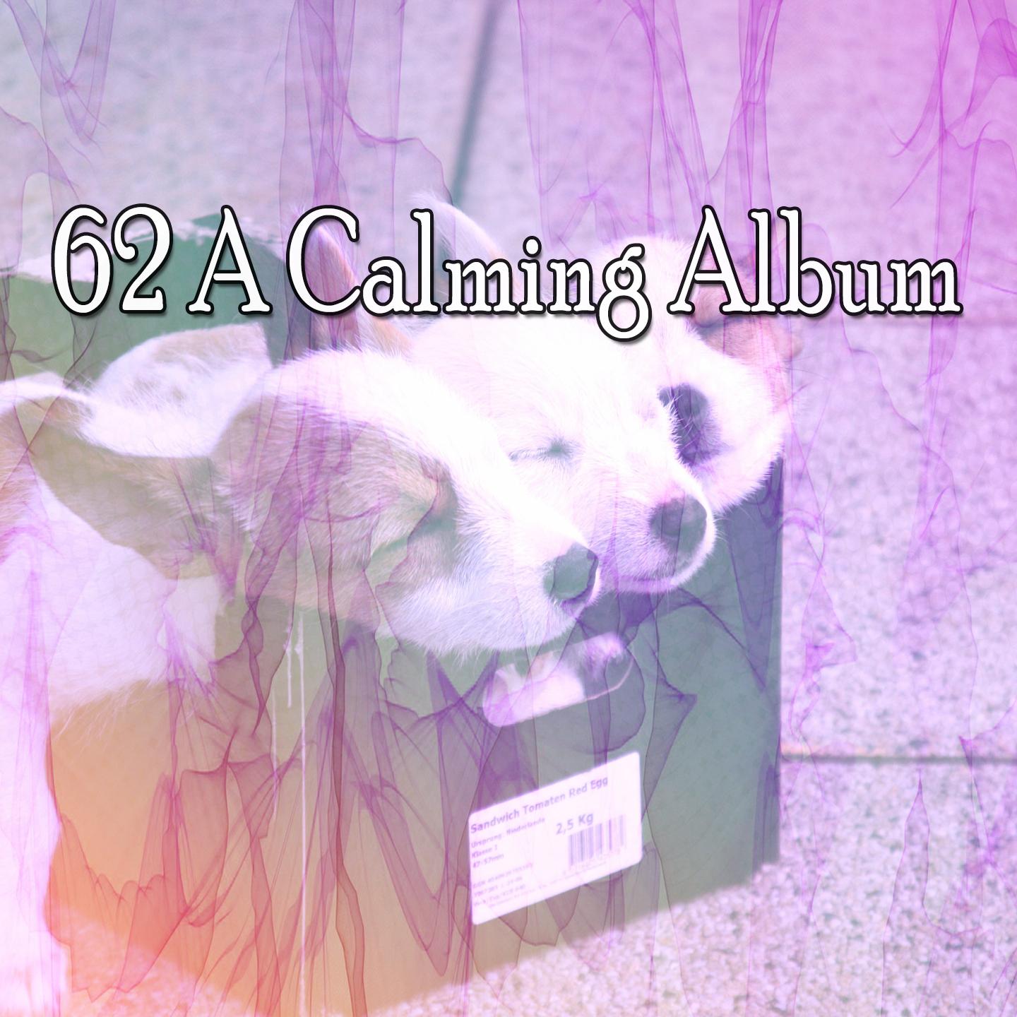 62 A Calming Album