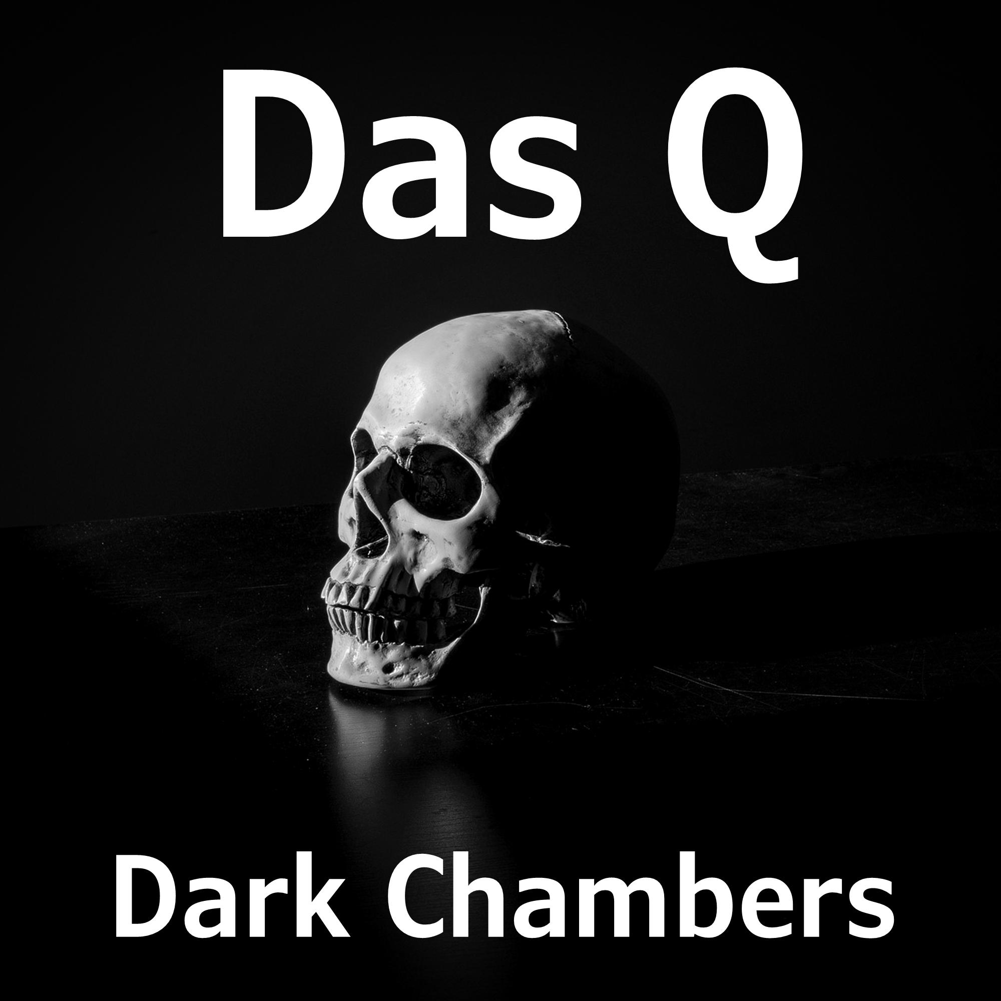 Dark Chambers