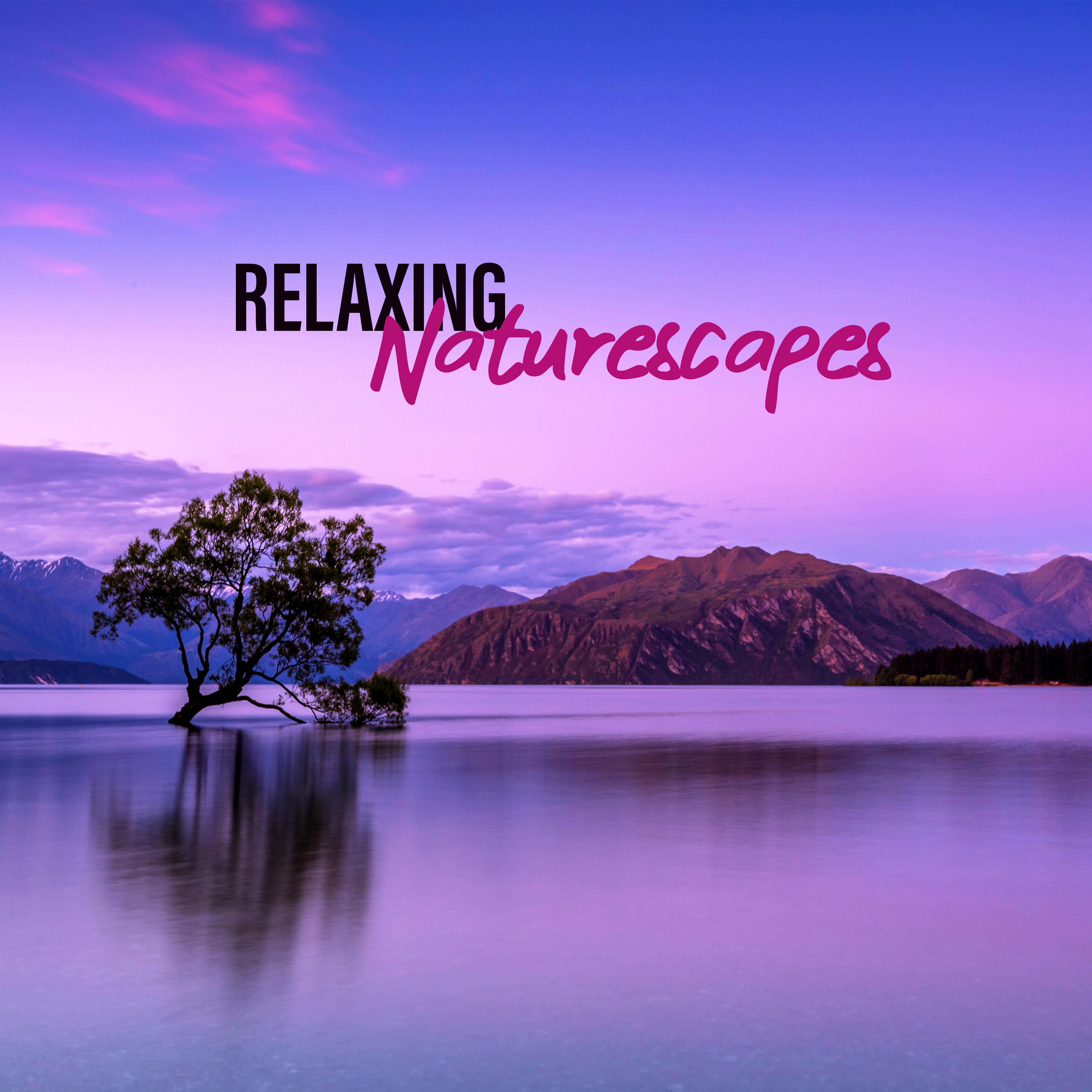 Relaxing Naturescapes  Best Relaxation Music with the Sounds of Nature