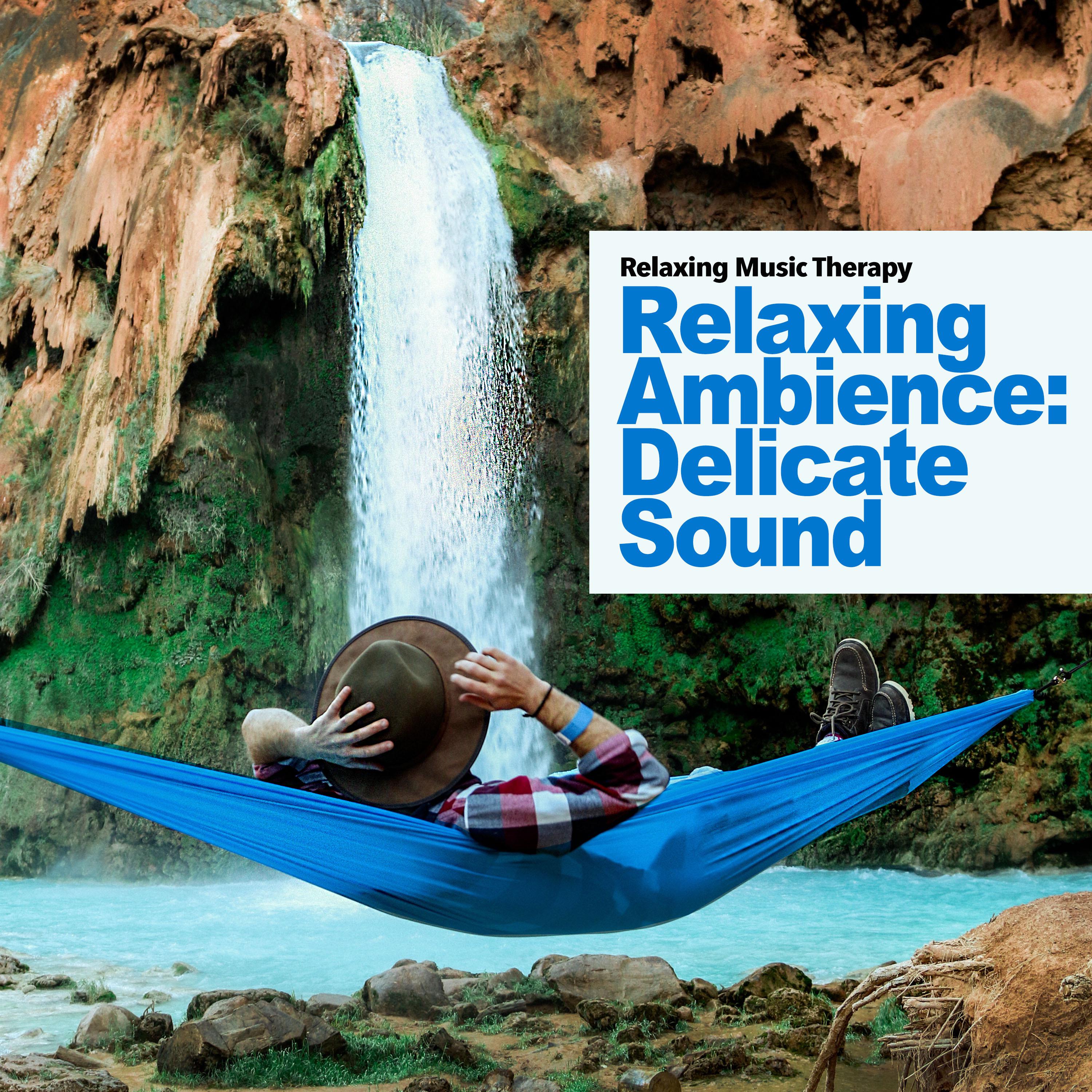 Relaxing Ambience: Delicate Sound