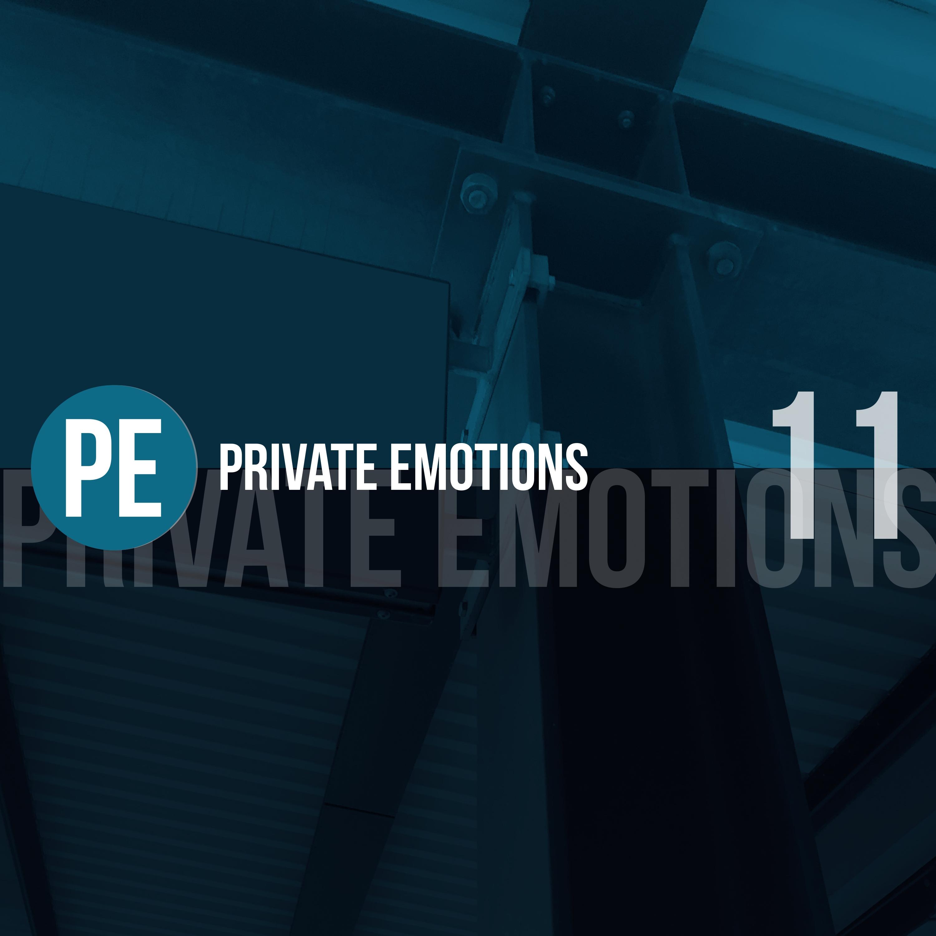 Private Emotions, Vol. 11