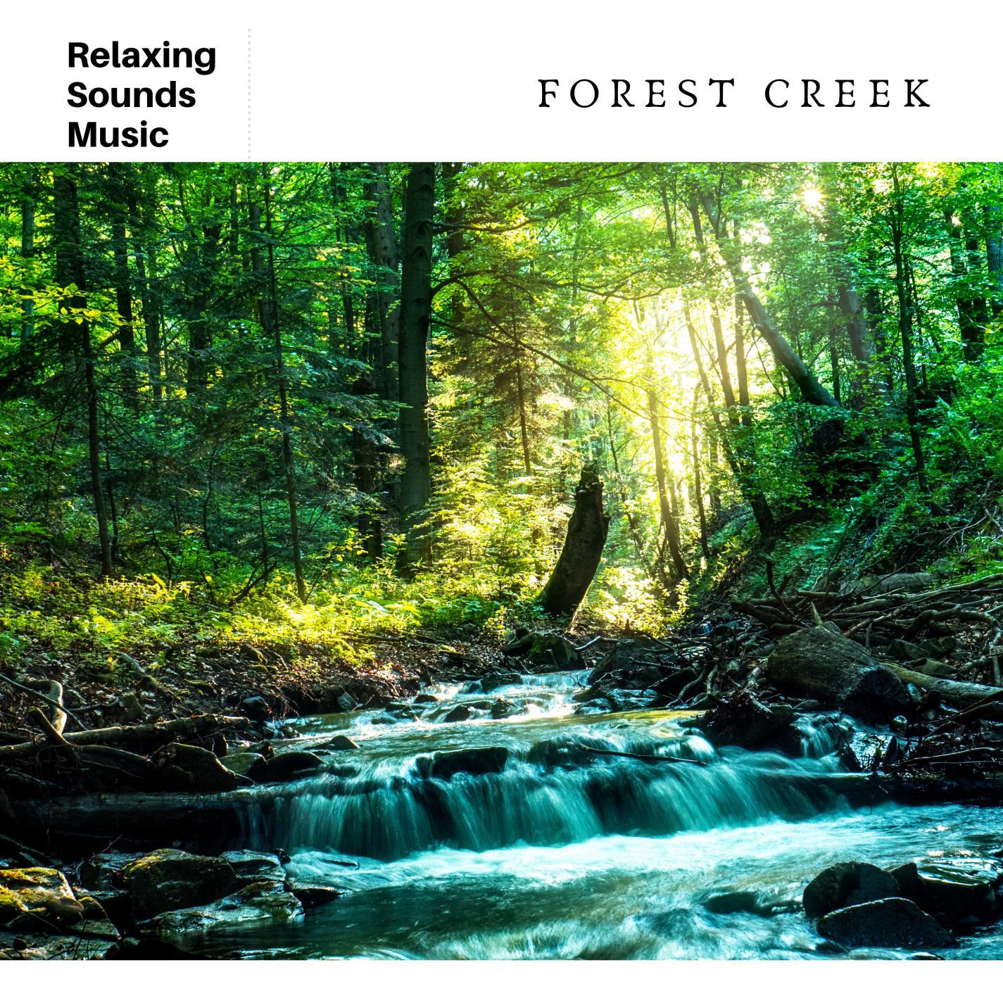 Relaxing Music with Nature Sounds: Forest Creek