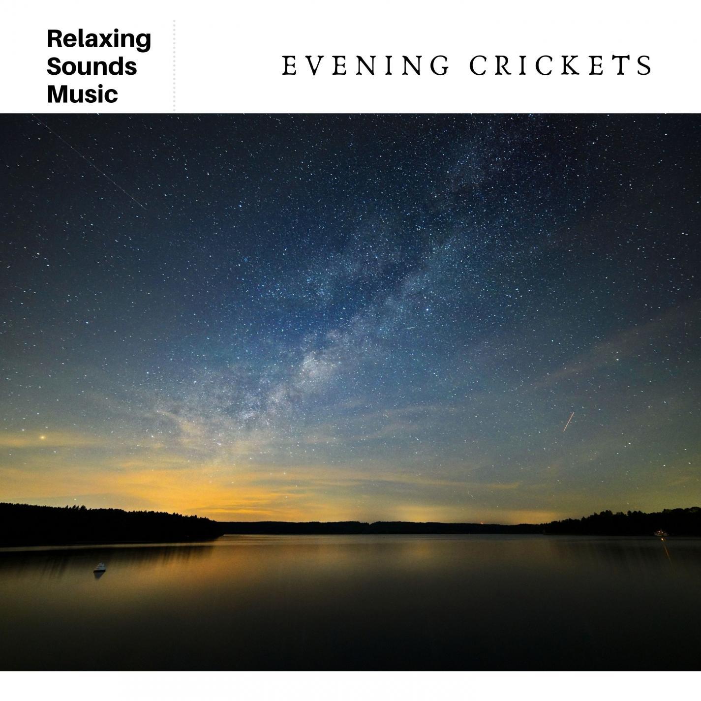 Evening Crickets: Relaxing Spa Sounds