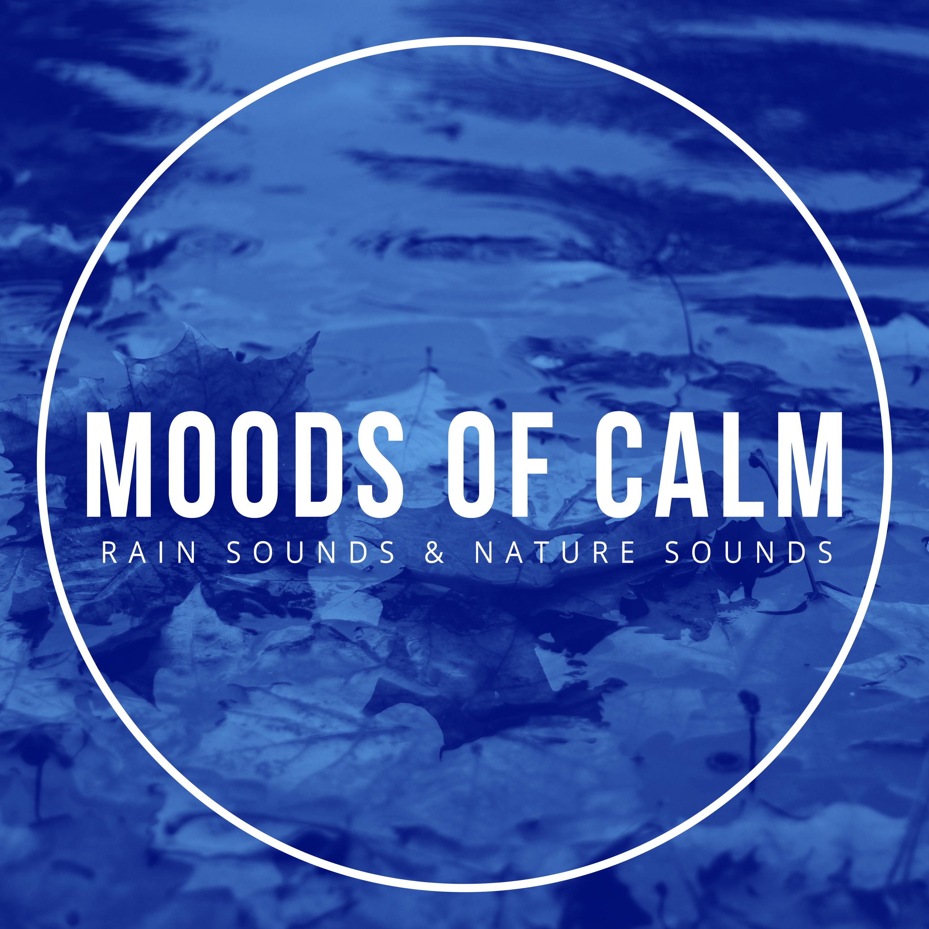 Moods of Calm