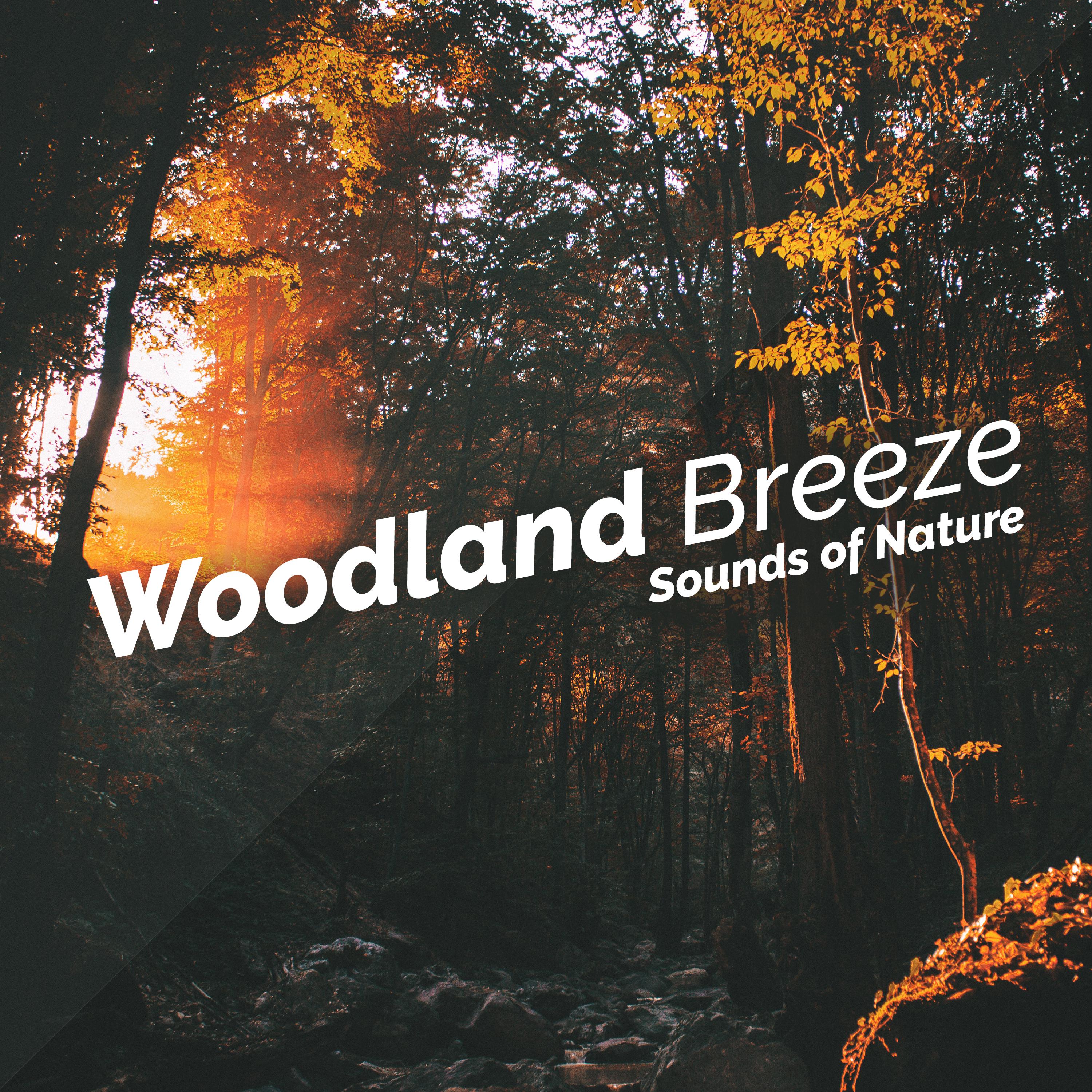Woodland Breeze