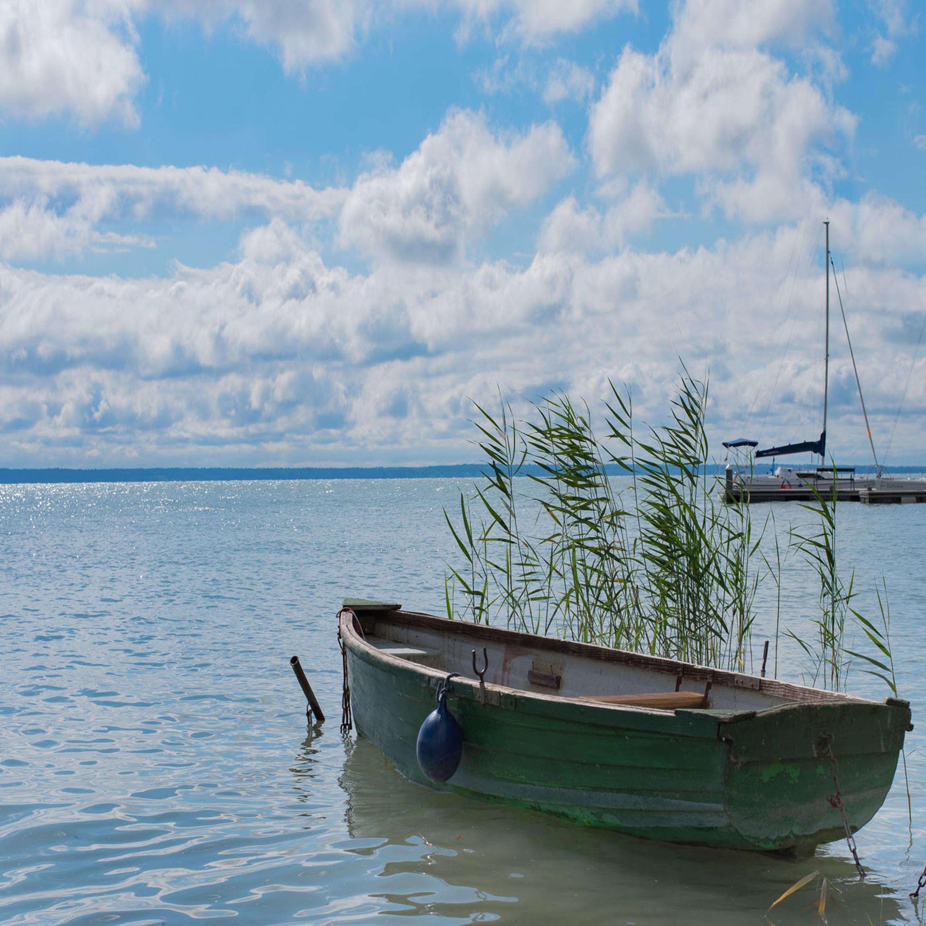 An Exciting Day at the Lobby