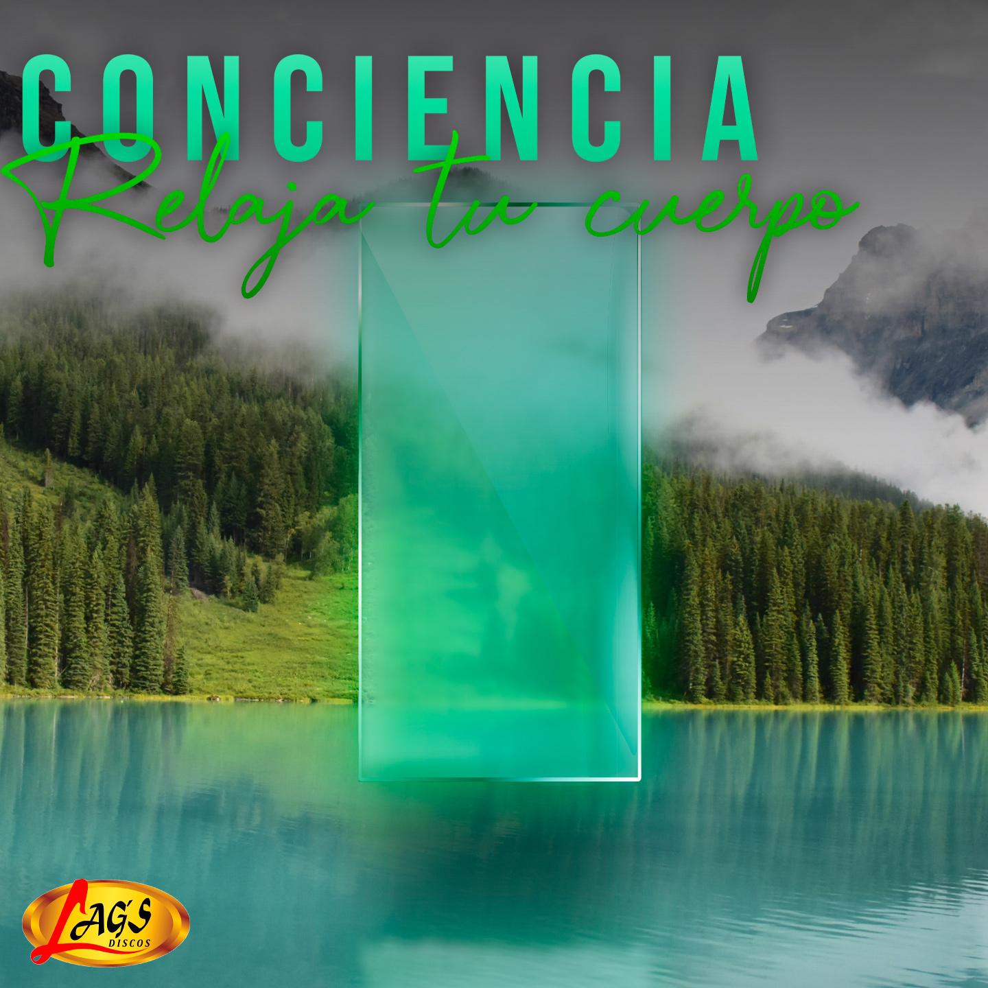 Conciencia Relaja Tu Cuerpo