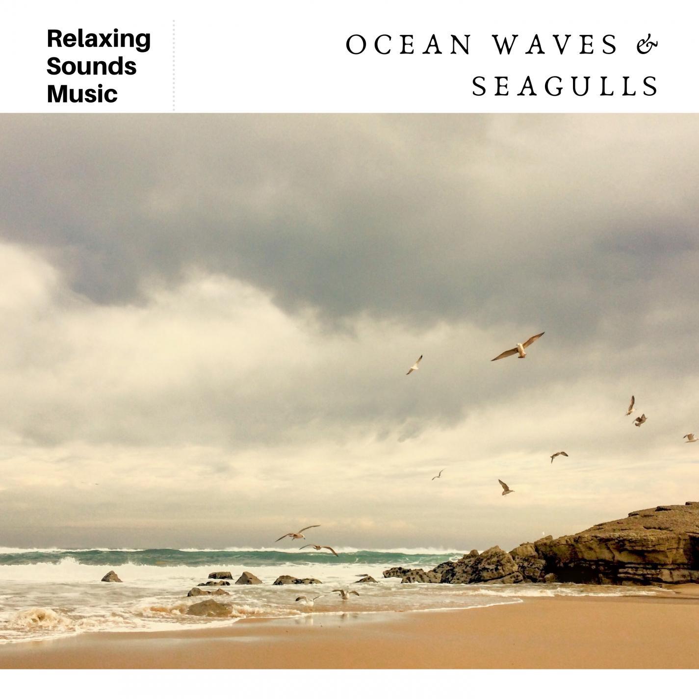 Soothing Ocean Waves & Seagulls