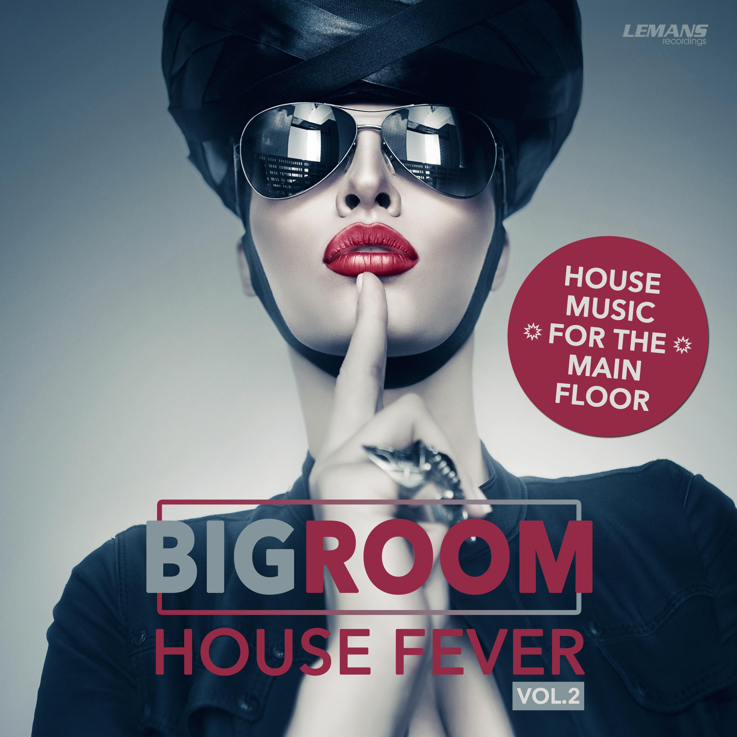 Bigroom House Fever, Vol. 2