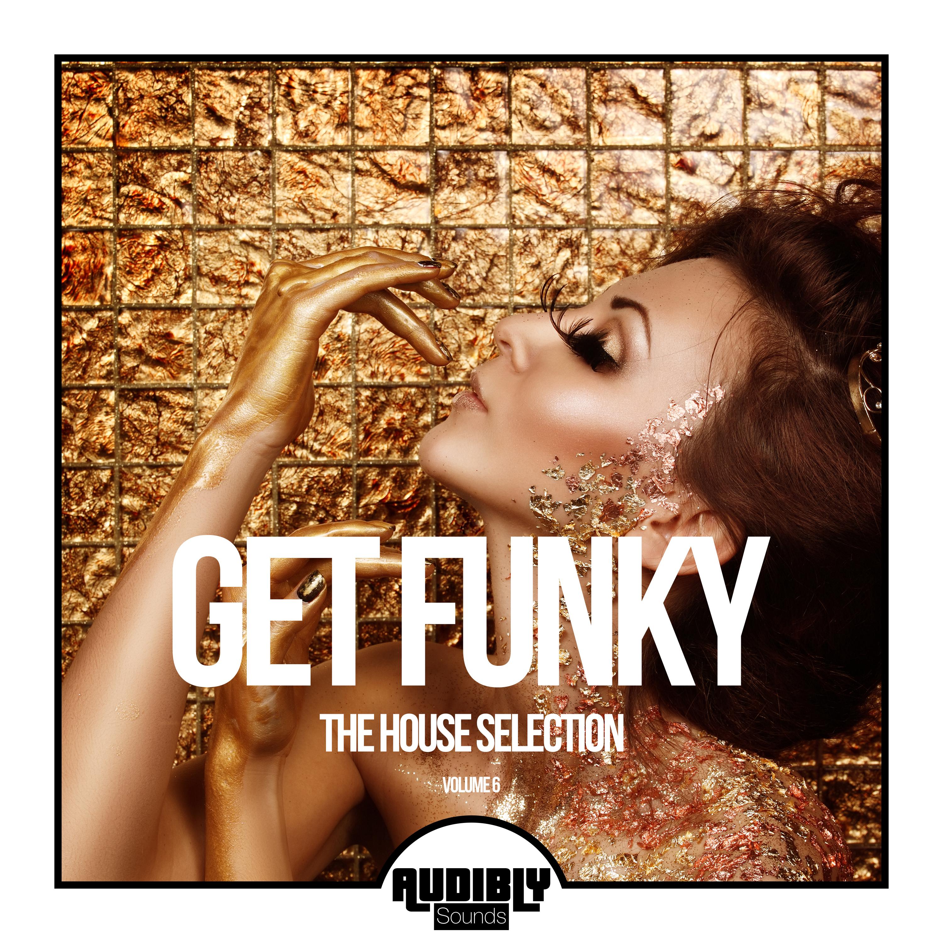 Get Funky (The House Selection), Vol. 6