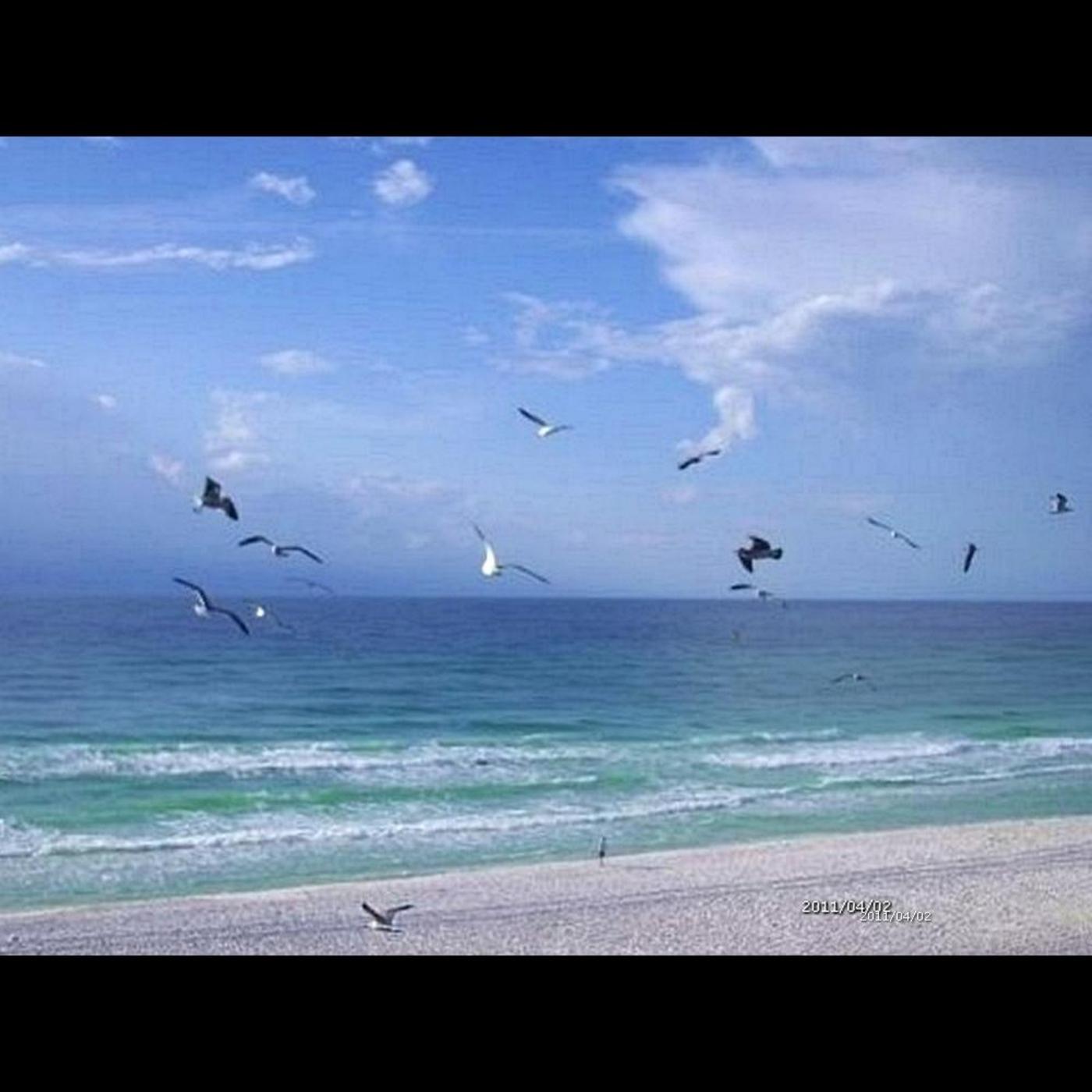 Please Save Our Beaches