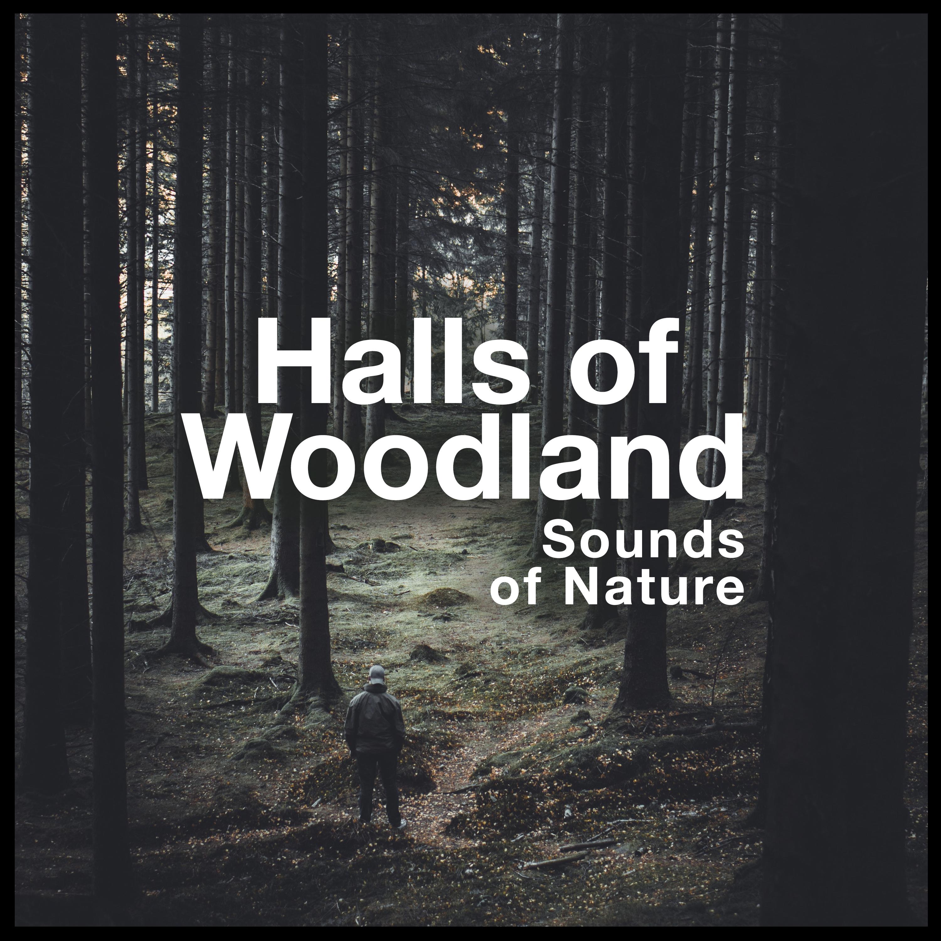 Halls of Woodland
