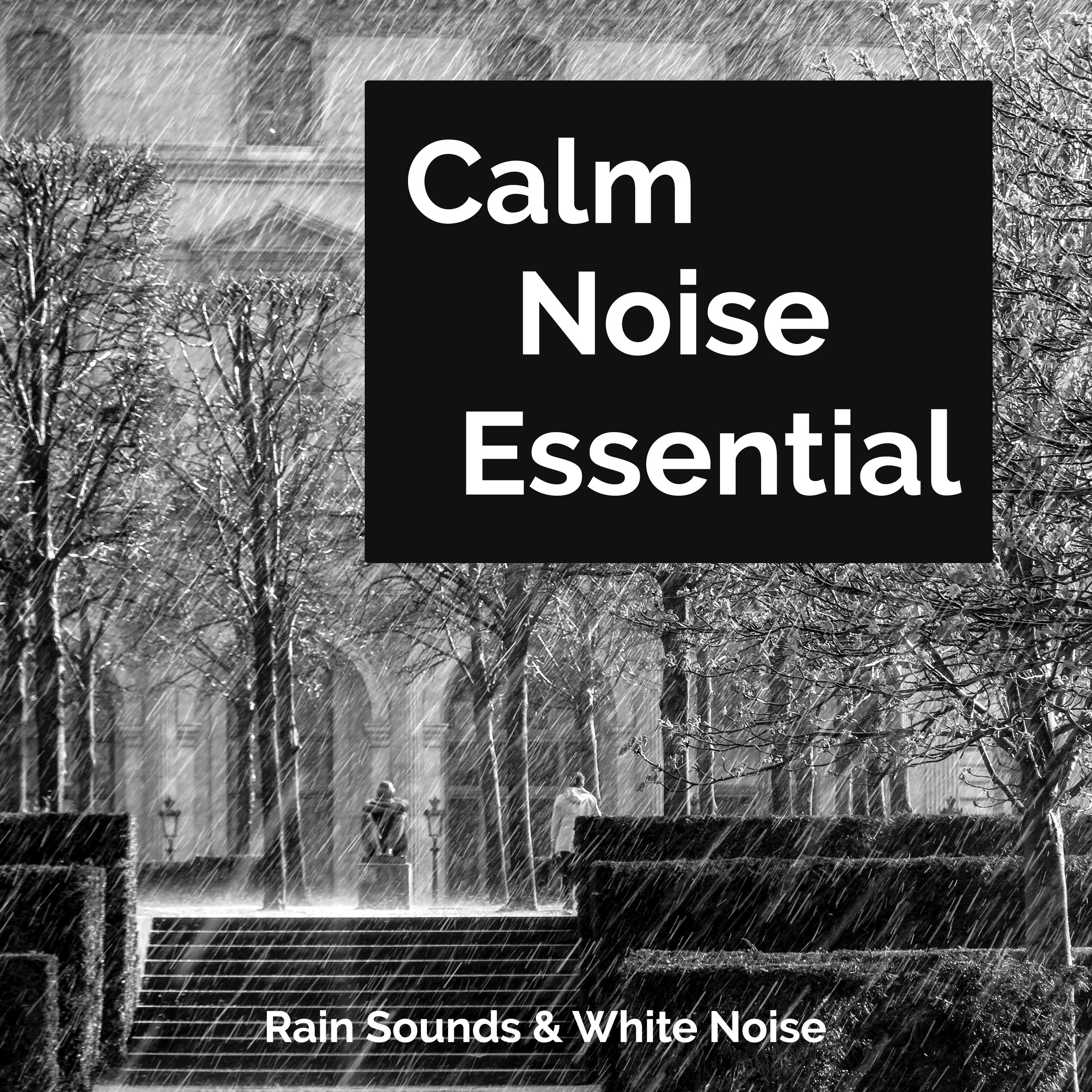 Calm Noise Essential