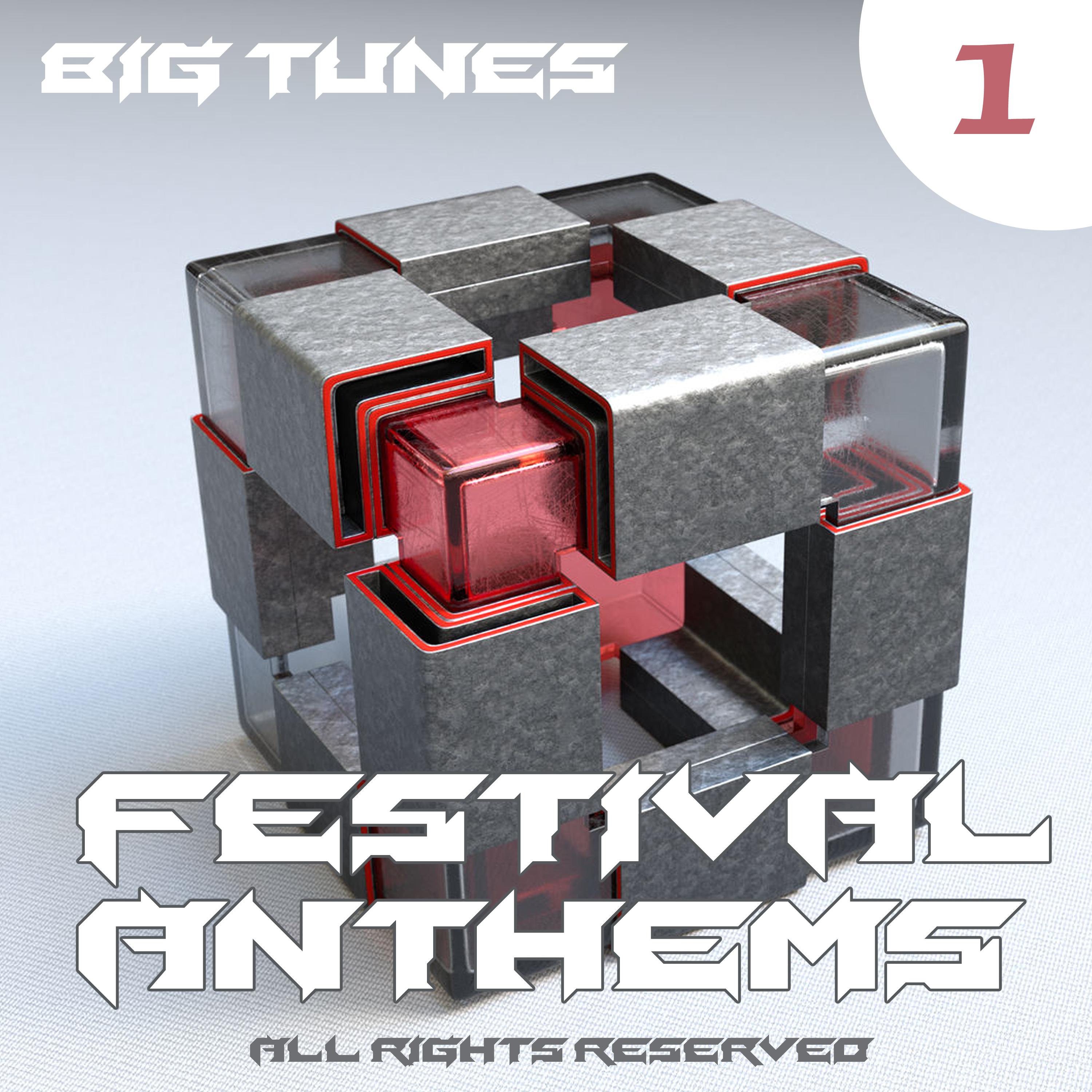 Festival Anthems, Vol. 1