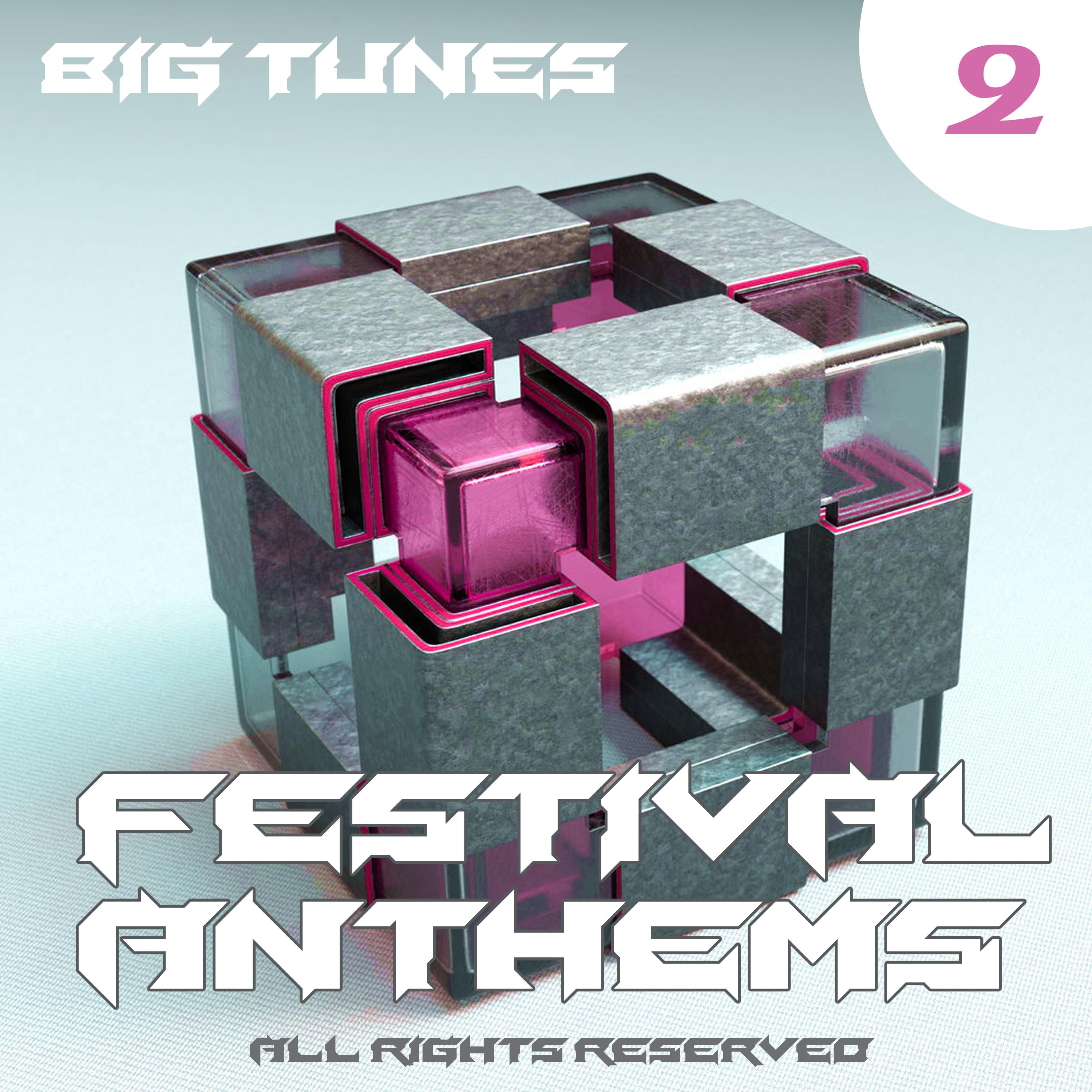 Festival Anthems, Vol. 2