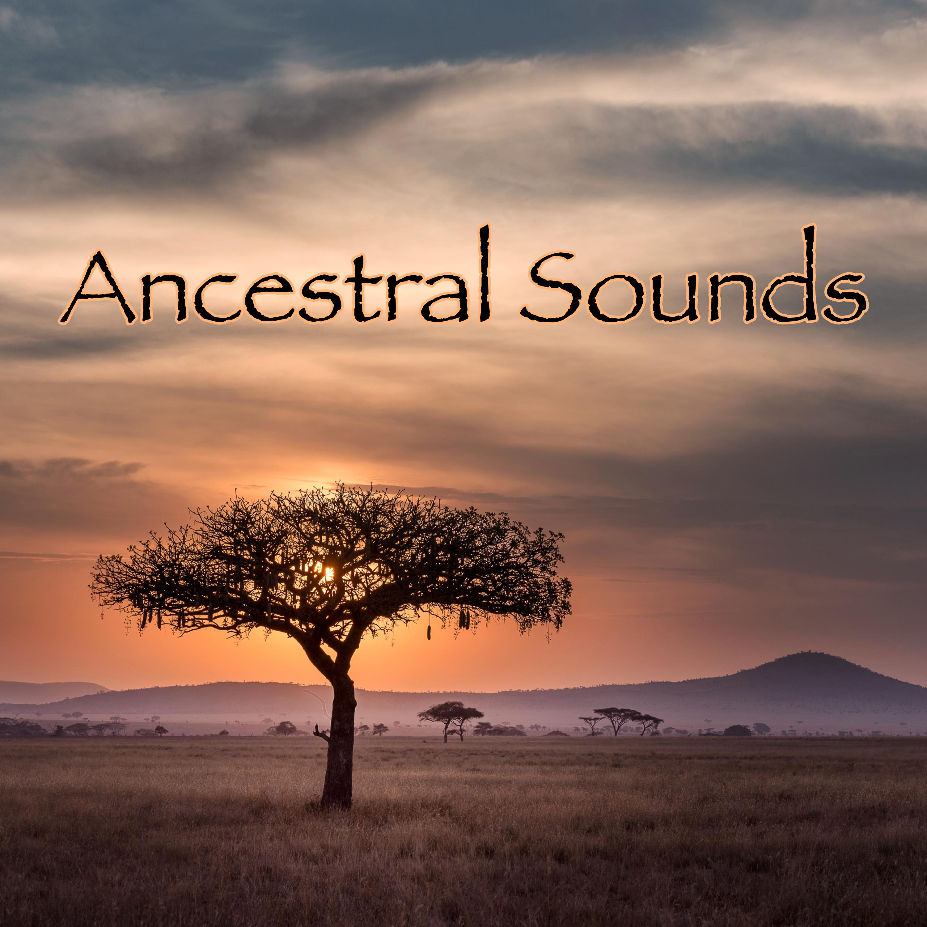 Ancestral Sounds  Tabla, Flutes, Drums and Other Ethno Music for Self Awakening