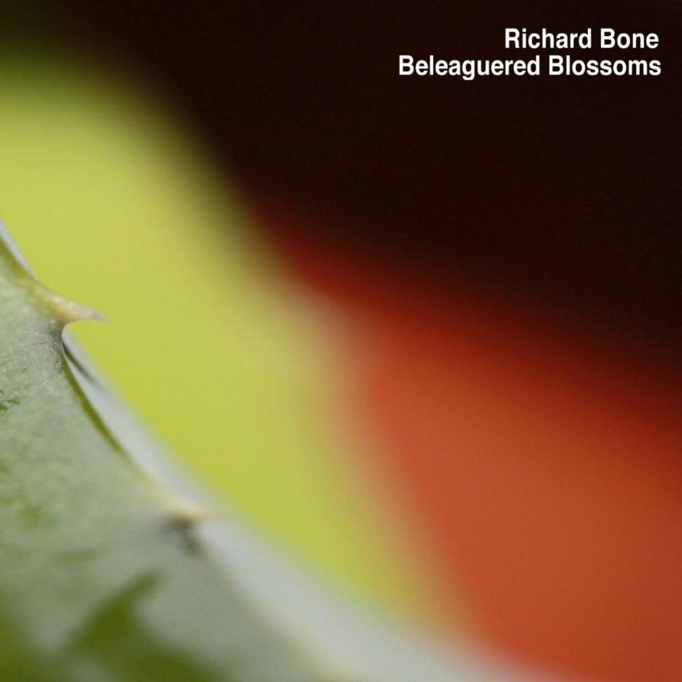 Rejected Robot Seeks Same